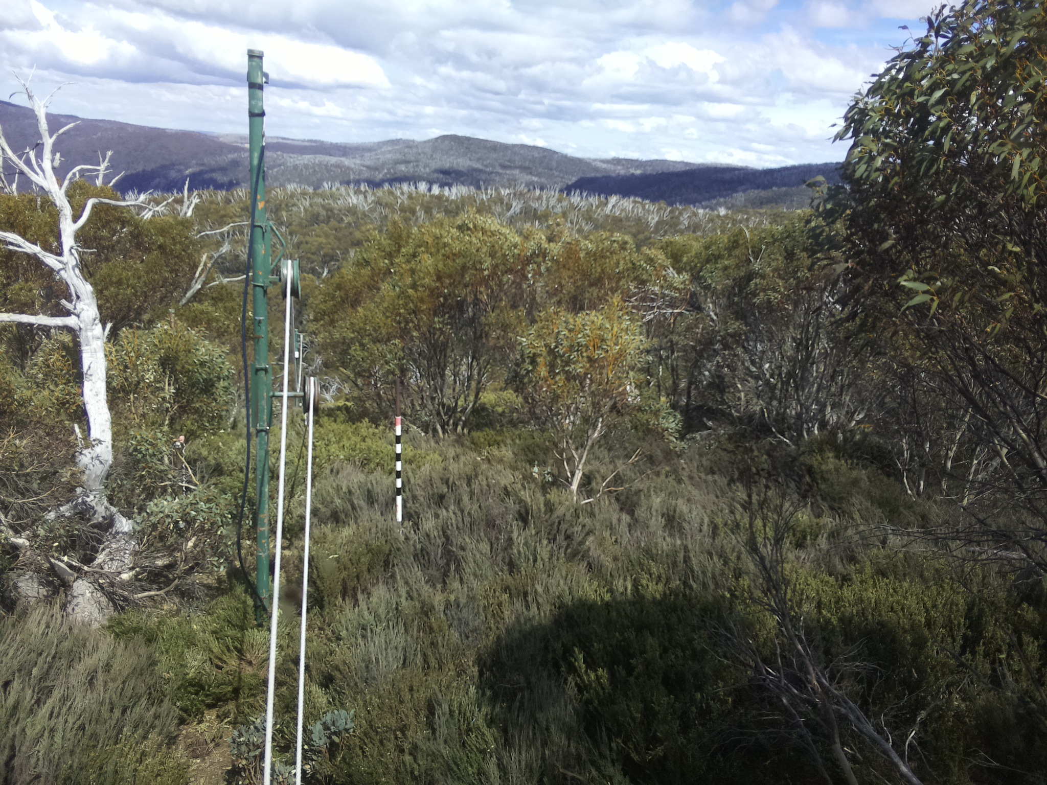 Bogong Web Cam 2:30pm Friday 24th of October 2025