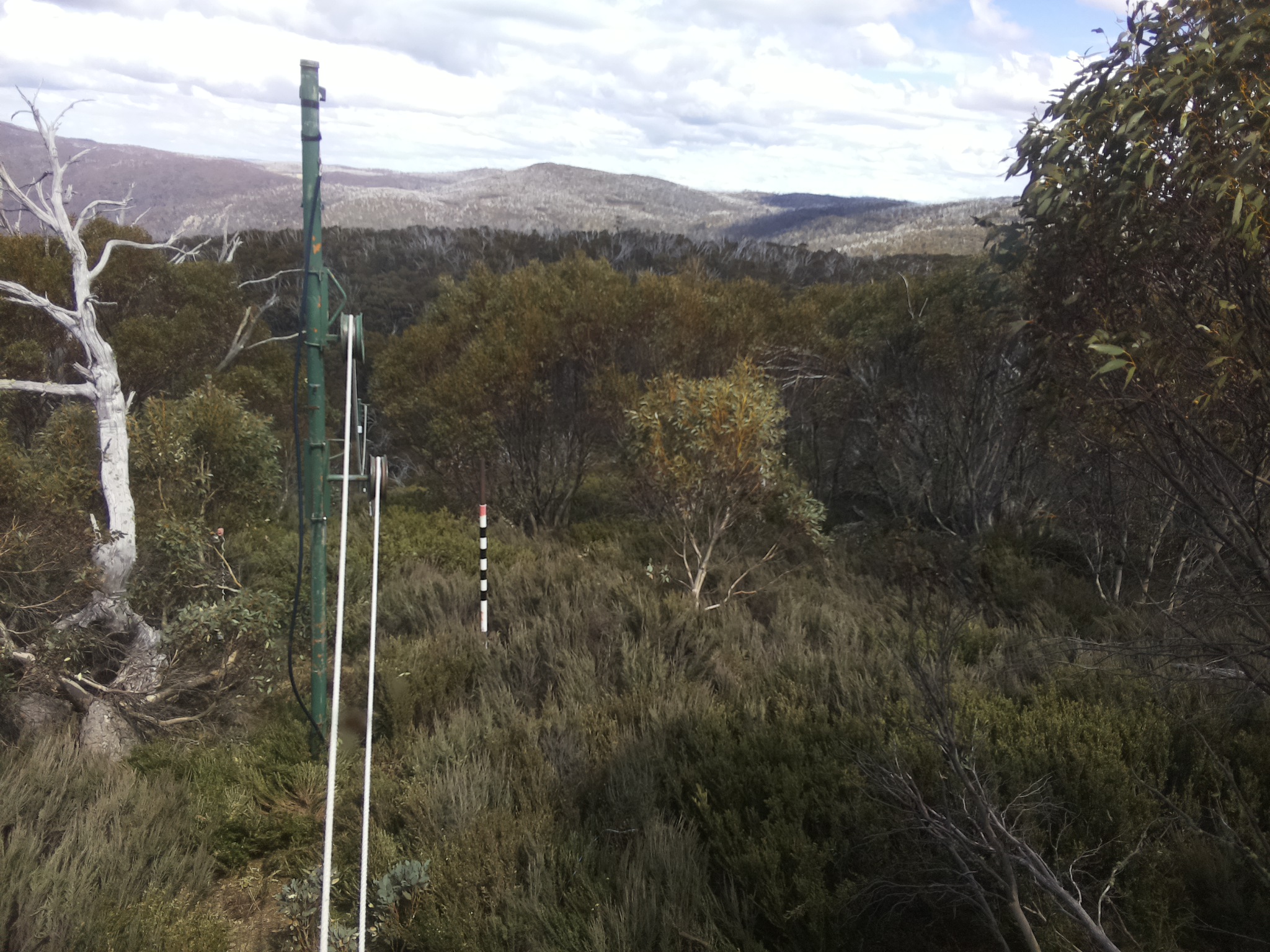 Bogong Web Cam 2:40pm Friday 24th of October 2025