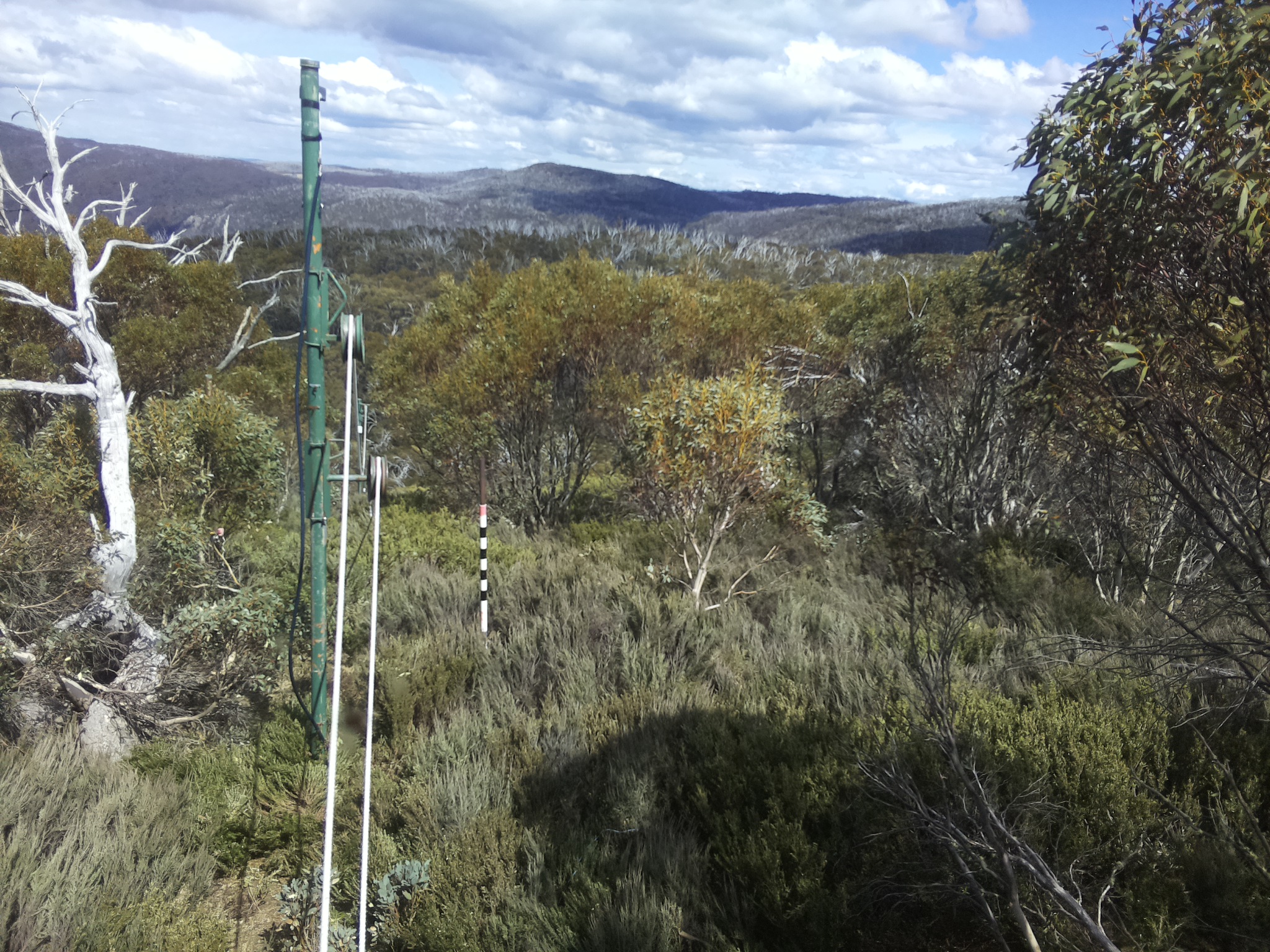 Bogong Web Cam 2:50pm Friday 24th of October 2025