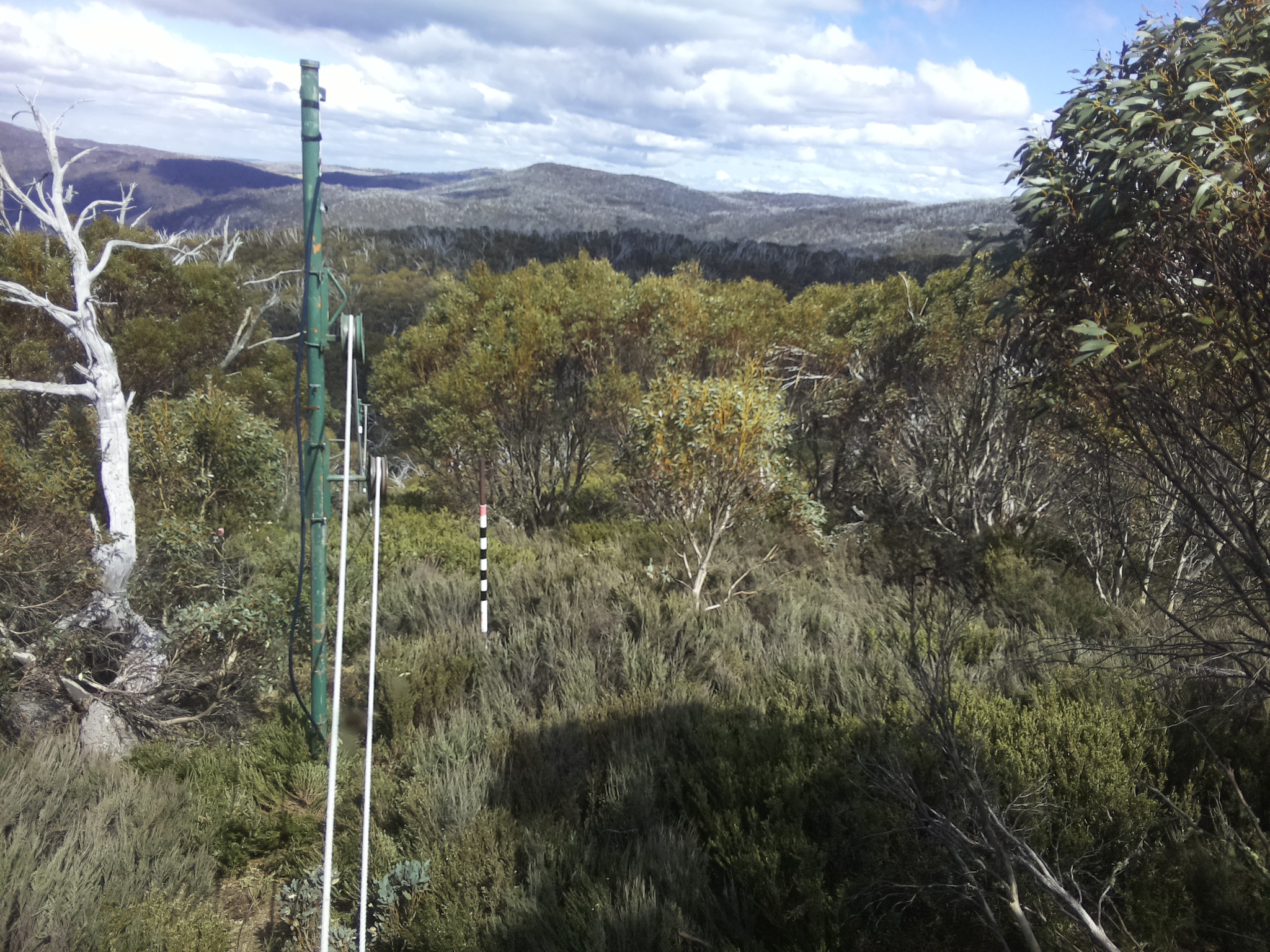 Bogong Web Cam 3:00pm Friday 24th of October 2025