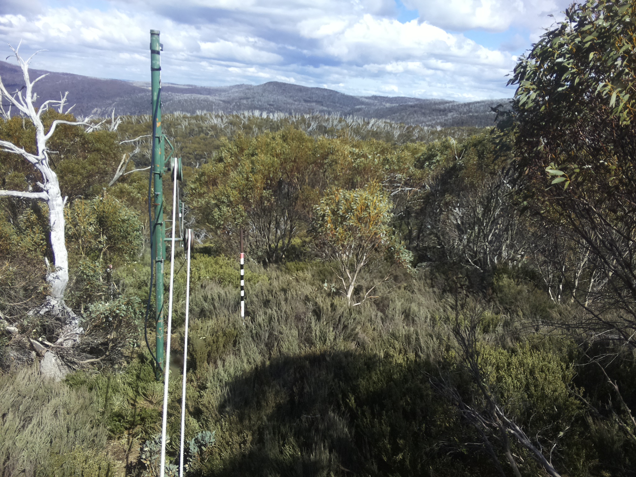 Bogong Web Cam 3:10pm Friday 24th of October 2025