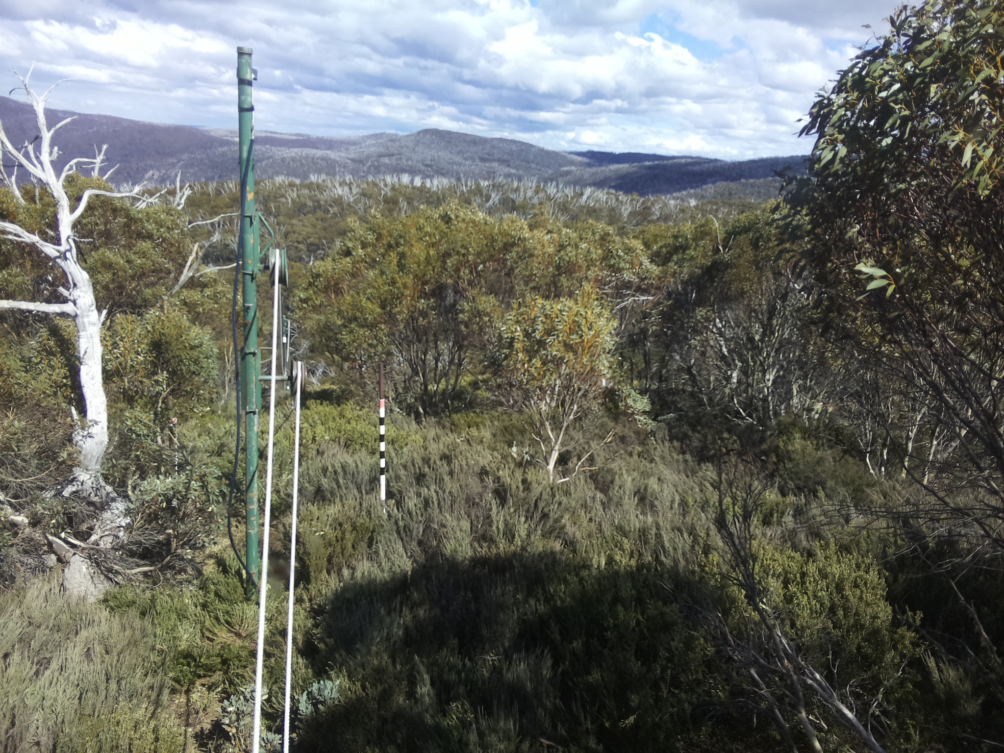 Bogong Web Cam 3:20pm Friday 24th of October 2025