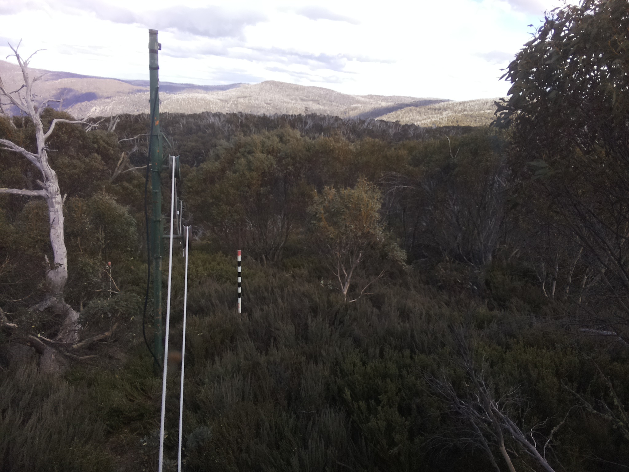 Bogong Web Cam 3:30pm Friday 24th of October 2025