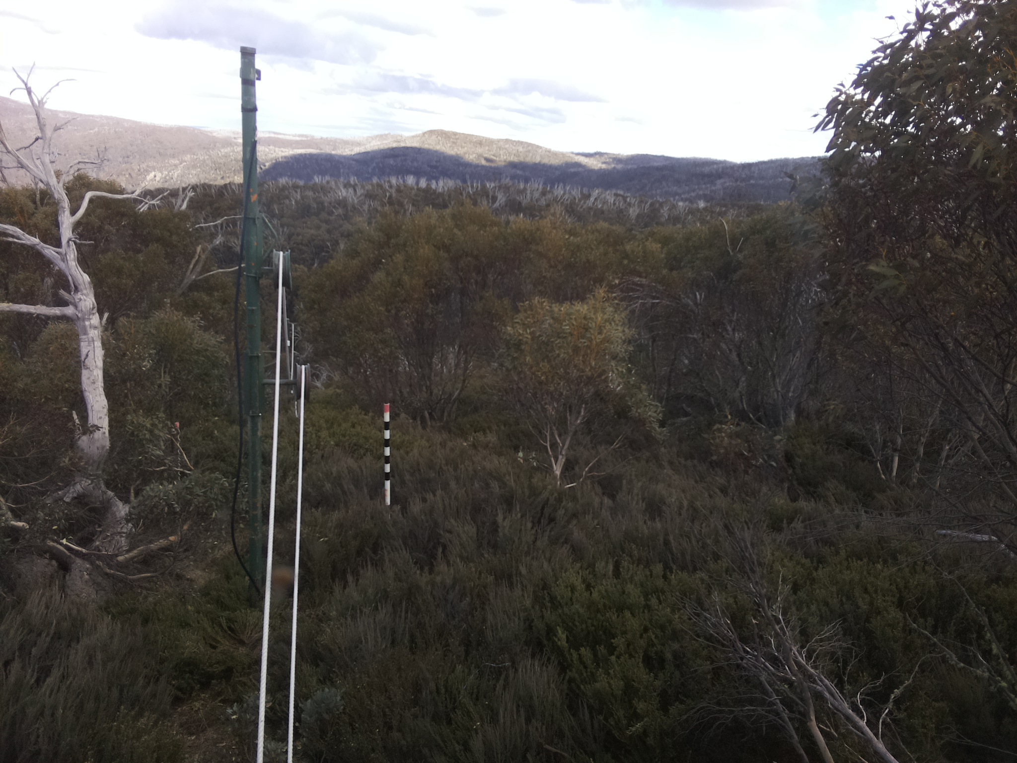 Bogong Web Cam 3:40pm Friday 24th of October 2025