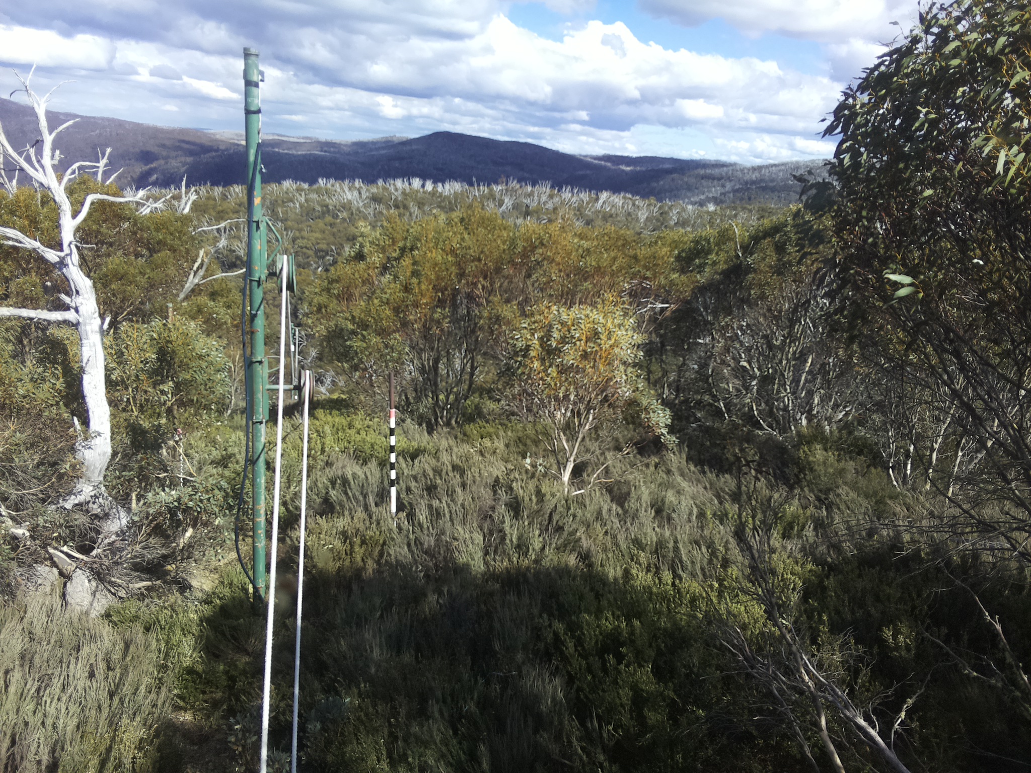 Bogong Web Cam 3:50pm Friday 24th of October 2025