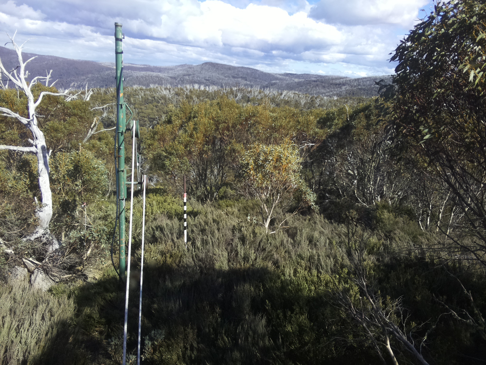 Bogong Web Cam 4:00pm Friday 24th of October 2025