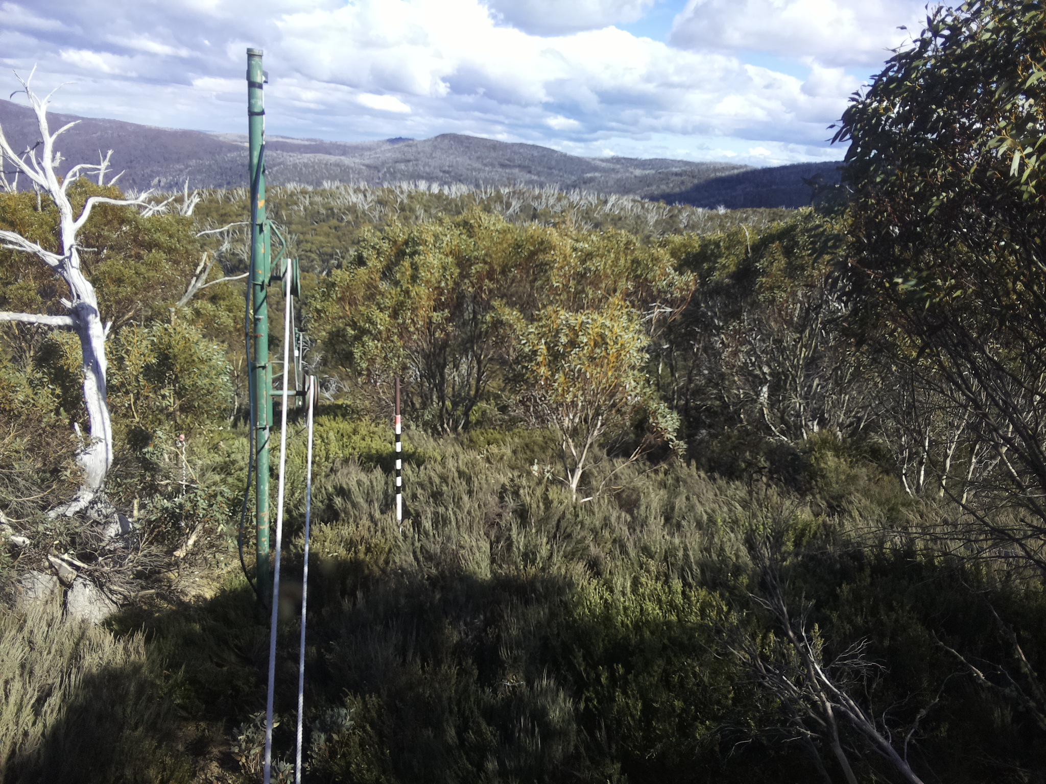 Bogong Web Cam 4:10pm Friday 24th of October 2025