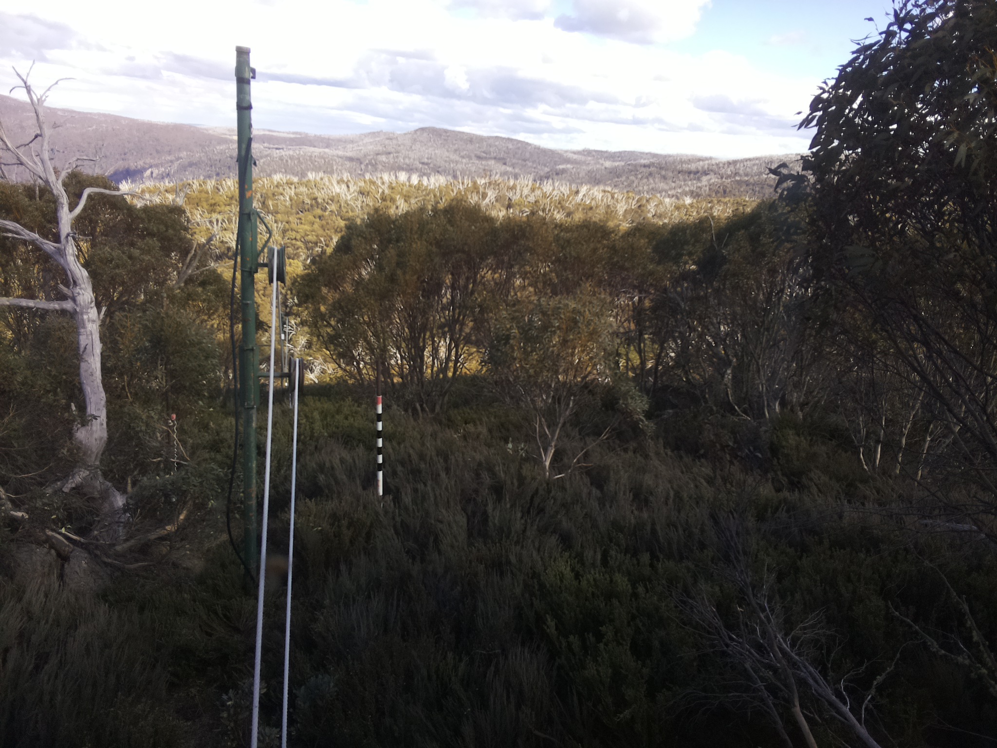 Bogong Web Cam 4:20pm Friday 24th of October 2025