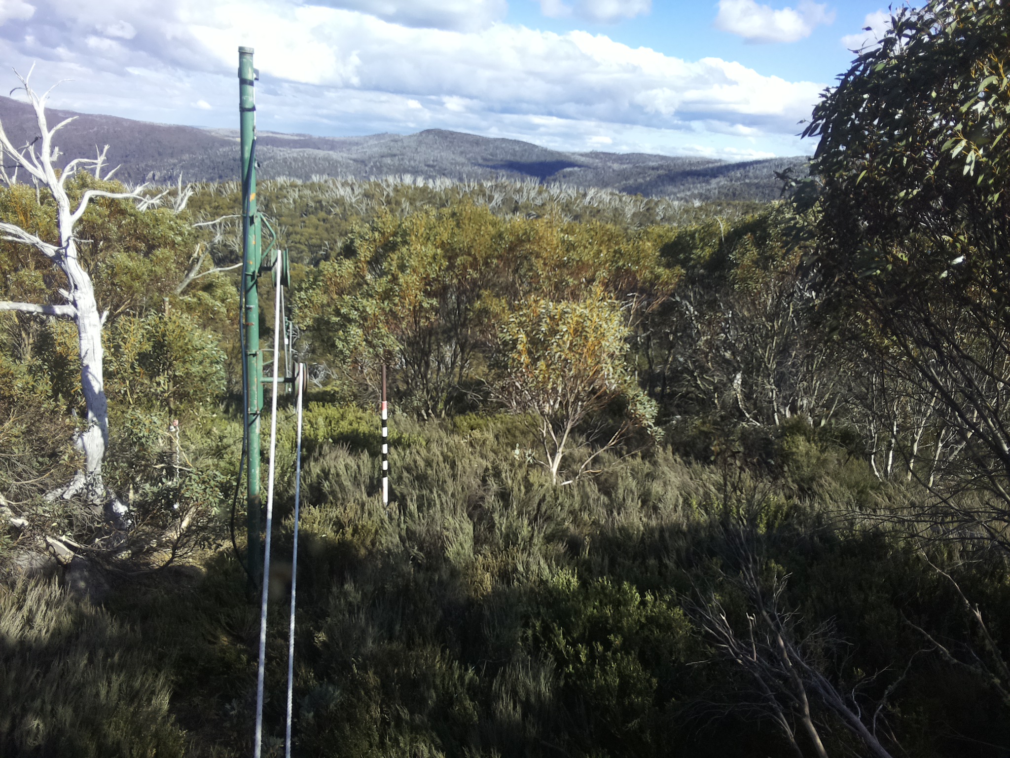 Bogong Web Cam 4:30pm Friday 24th of October 2025