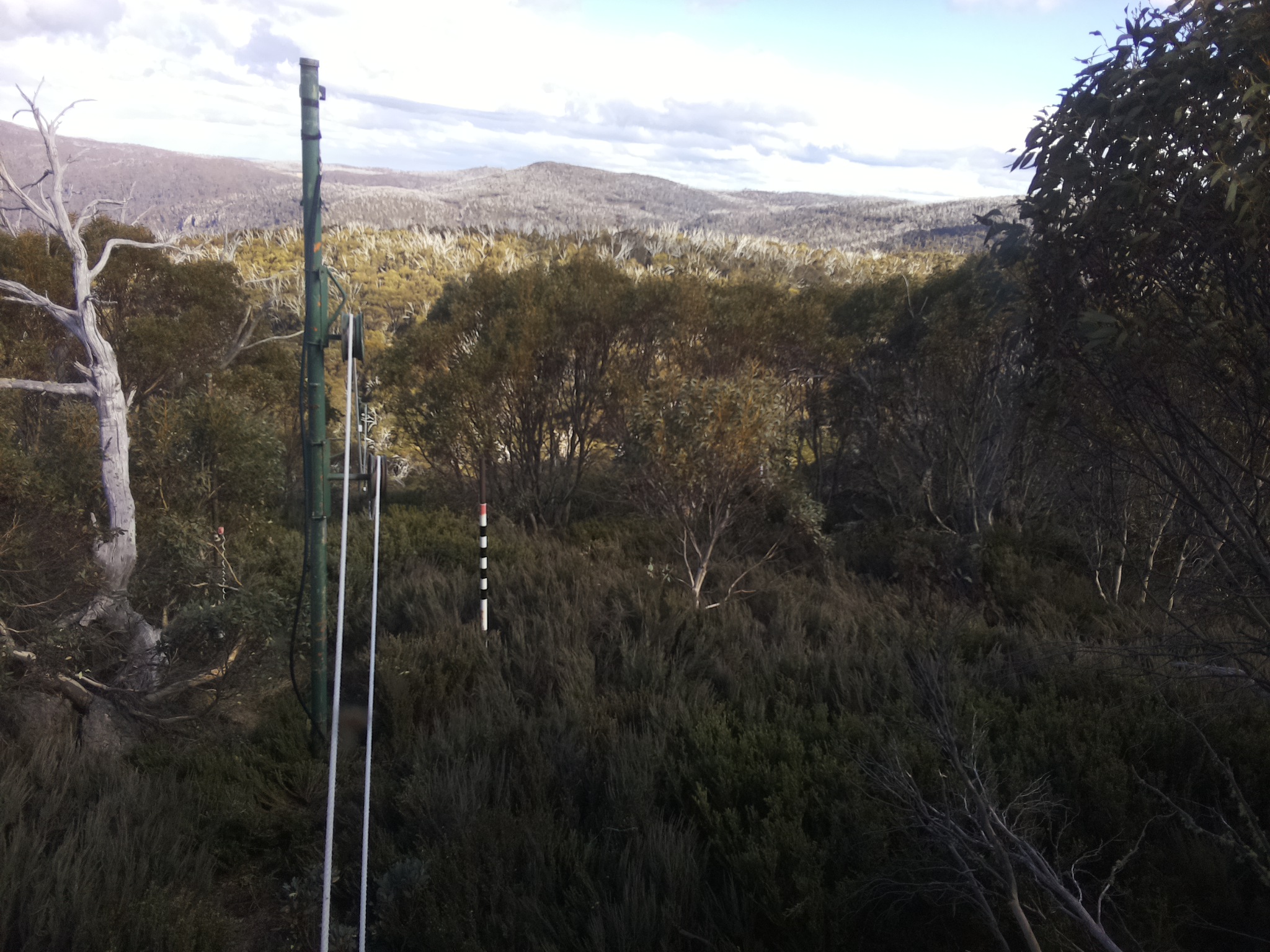 Bogong Web Cam 4:40pm Friday 24th of October 2025