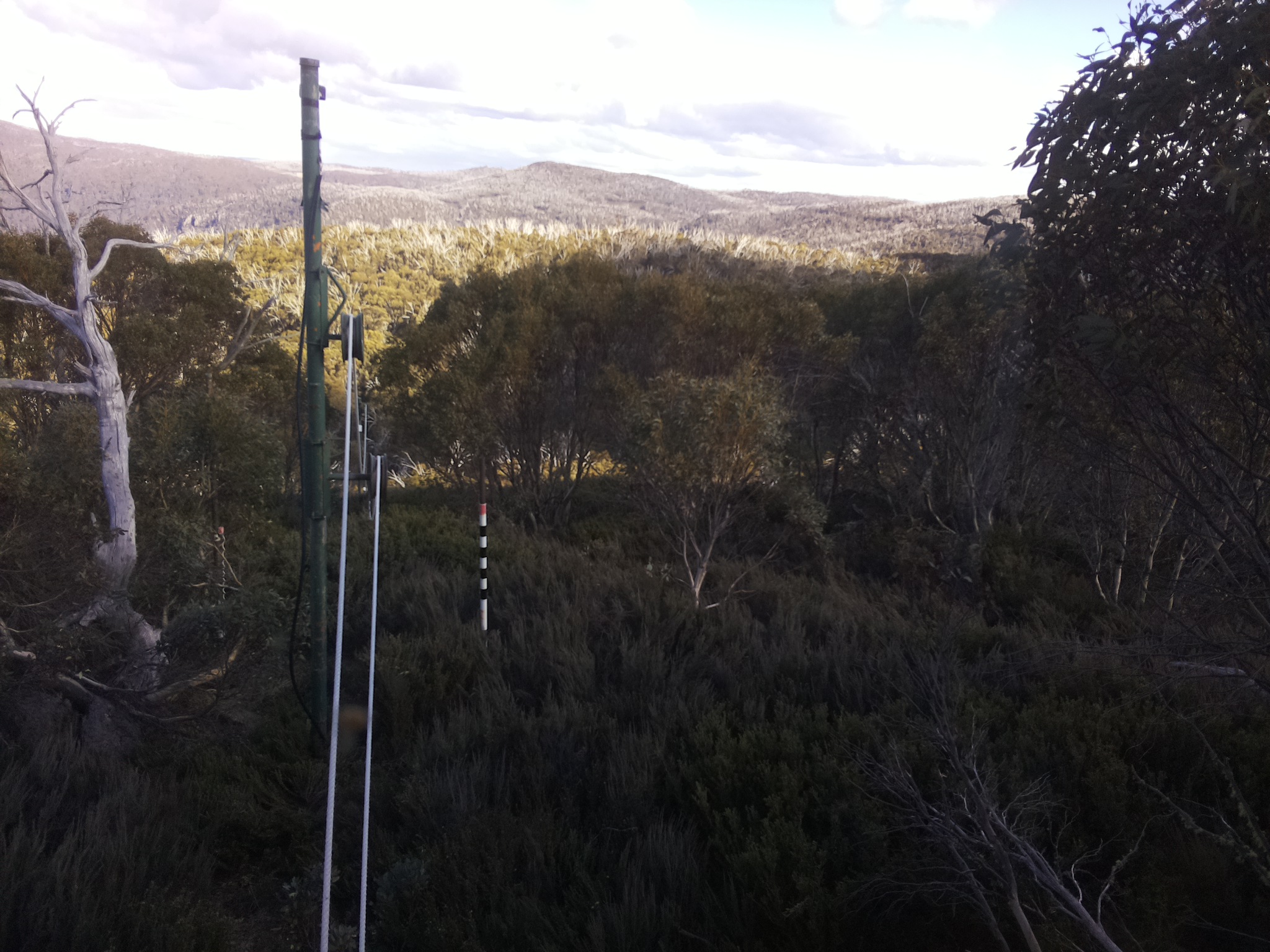 Bogong Web Cam 4:50pm Friday 24th of October 2025
