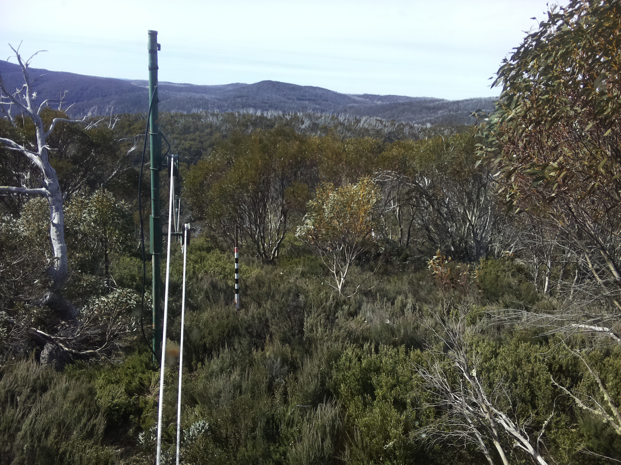 Bogong Web Cam 9:50am Saturday 25th of October 2025