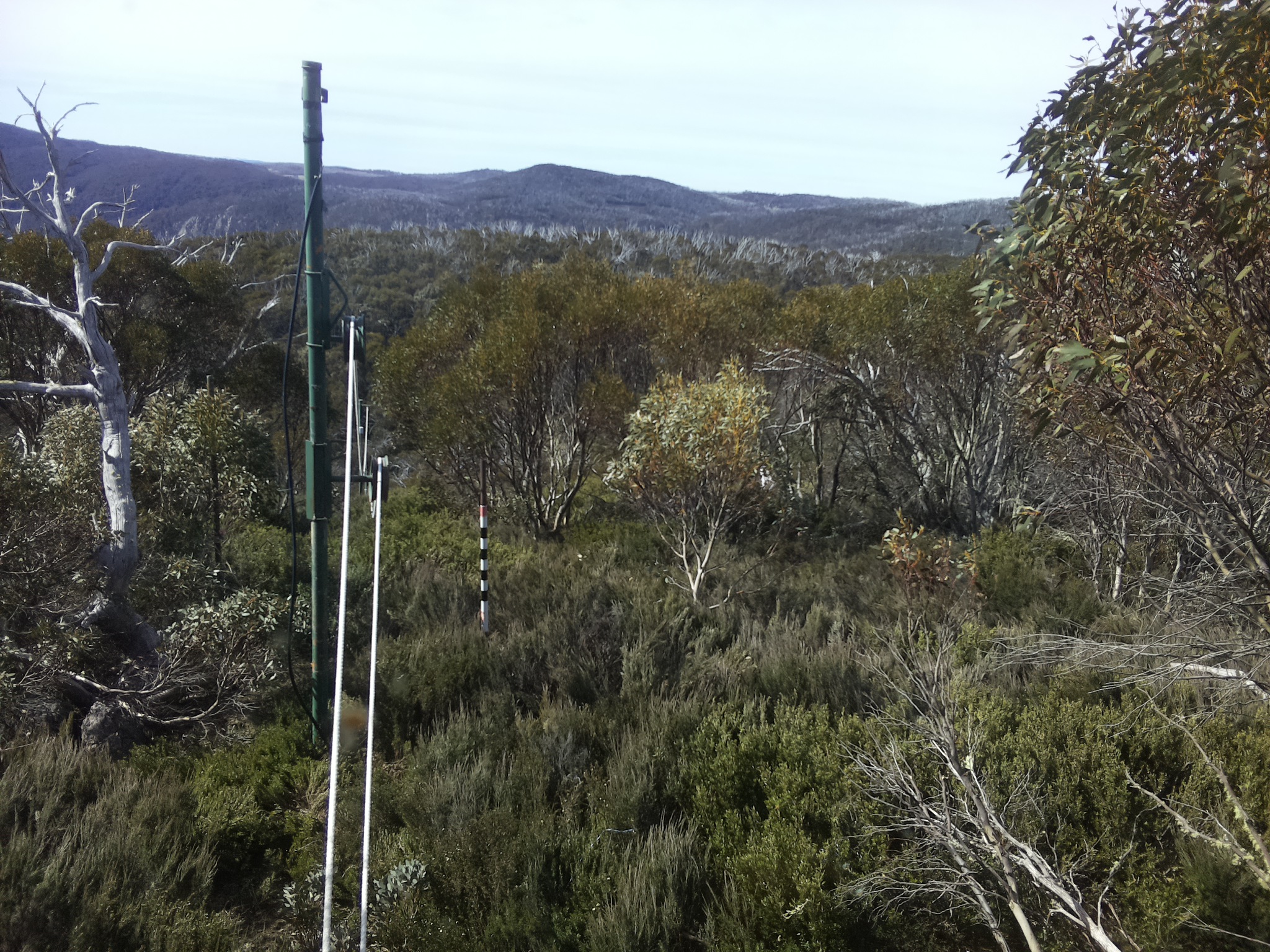 Bogong Web Cam 10:00am Saturday 25th of October 2025