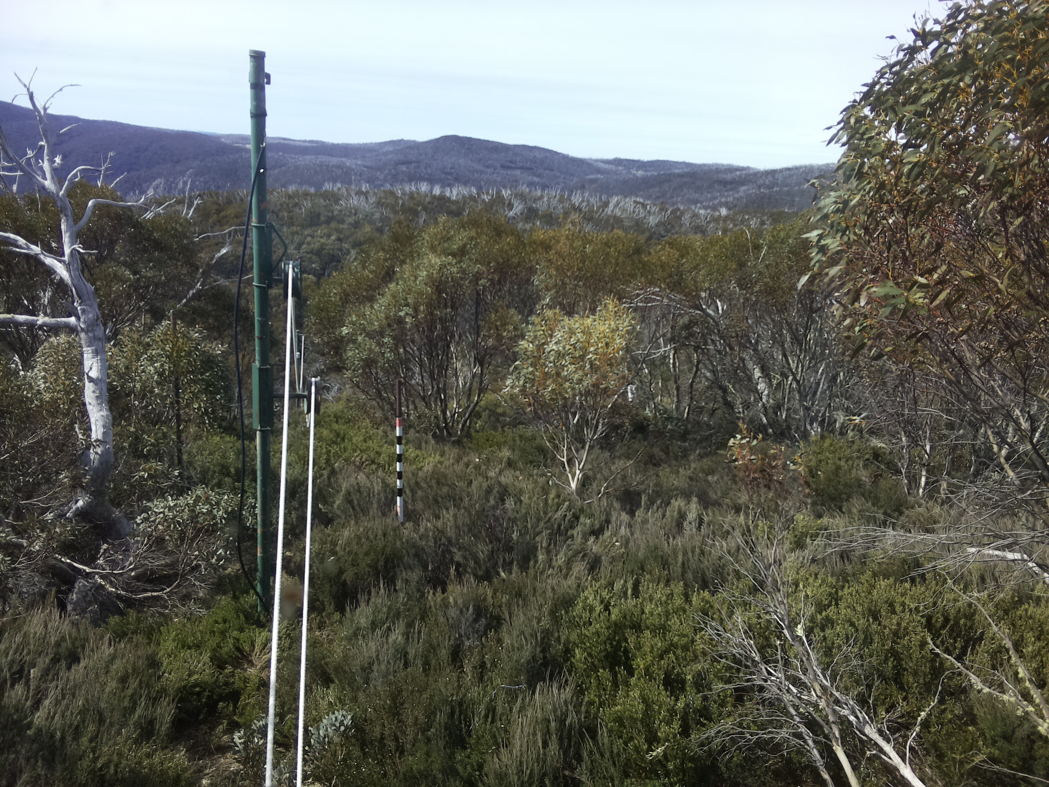 Bogong Web Cam 10:30am Saturday 25th of October 2025