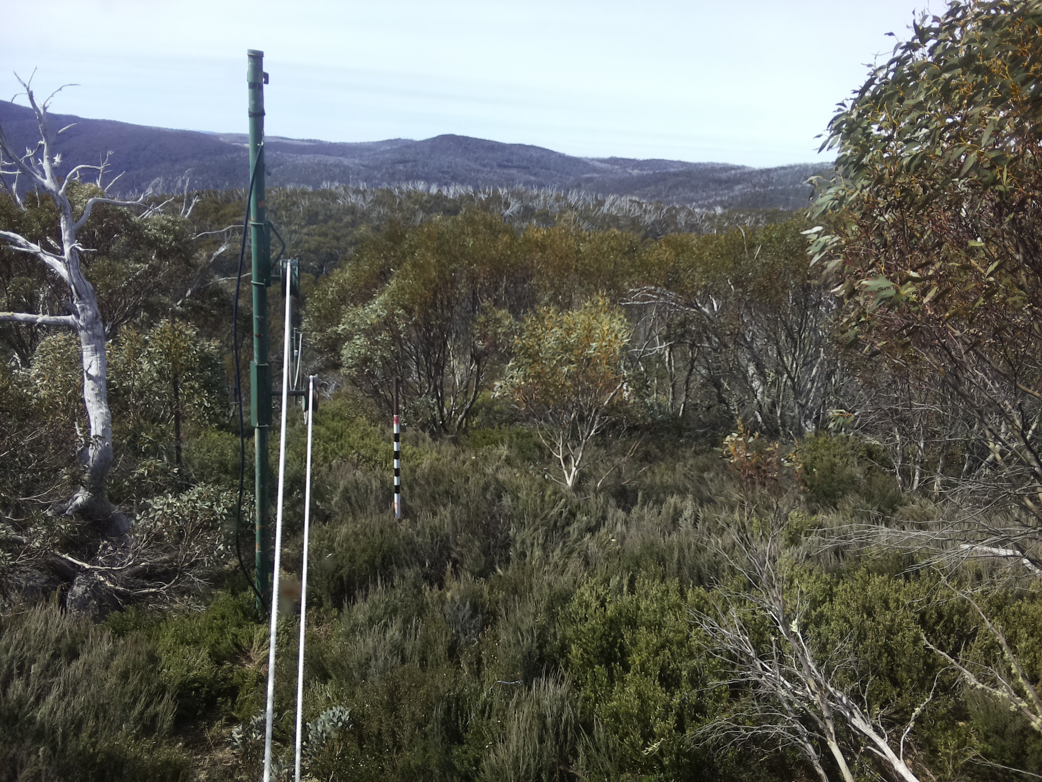 Bogong Web Cam 10:40am Saturday 25th of October 2025