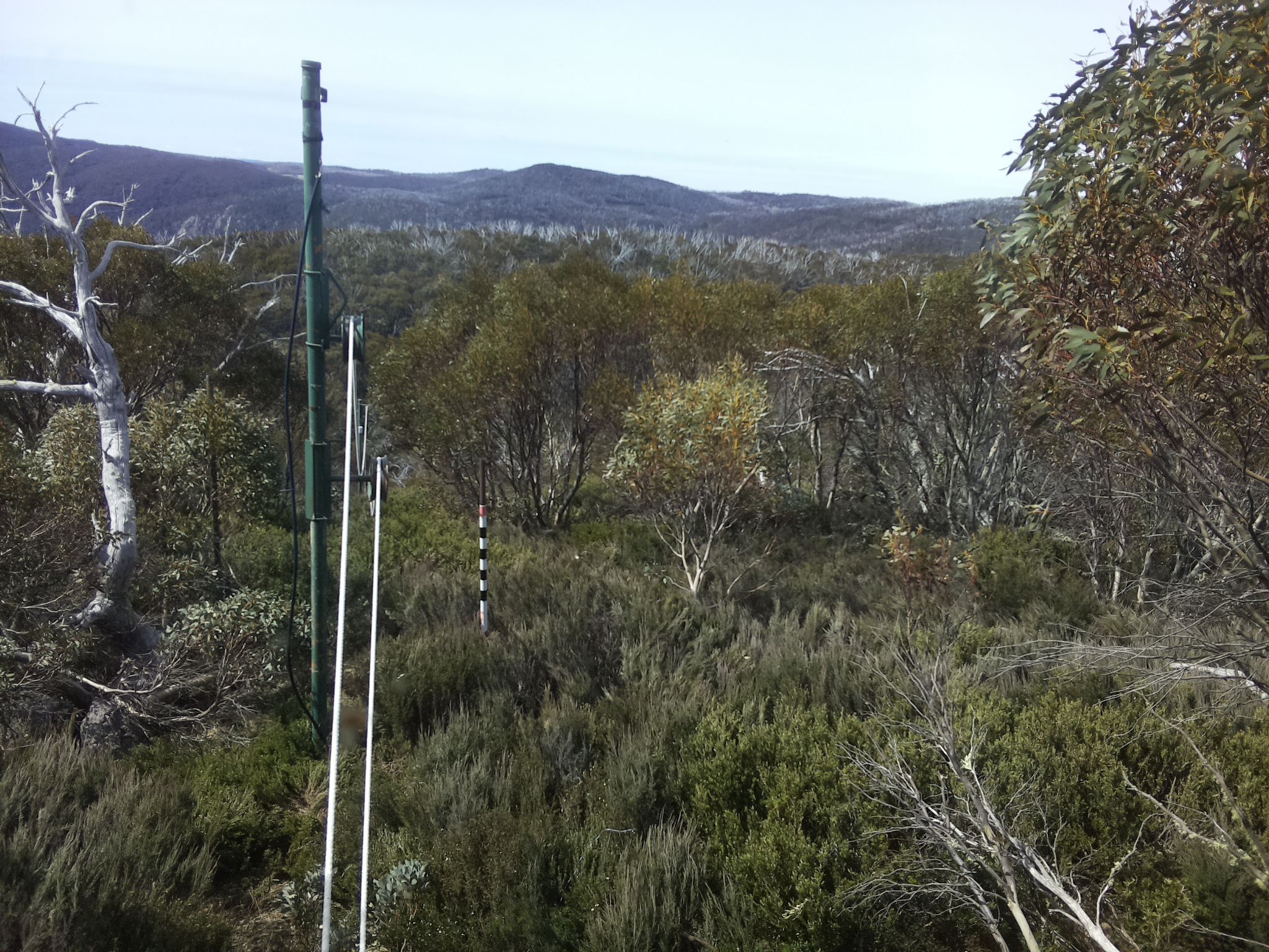 Bogong Web Cam 10:50am Saturday 25th of October 2025