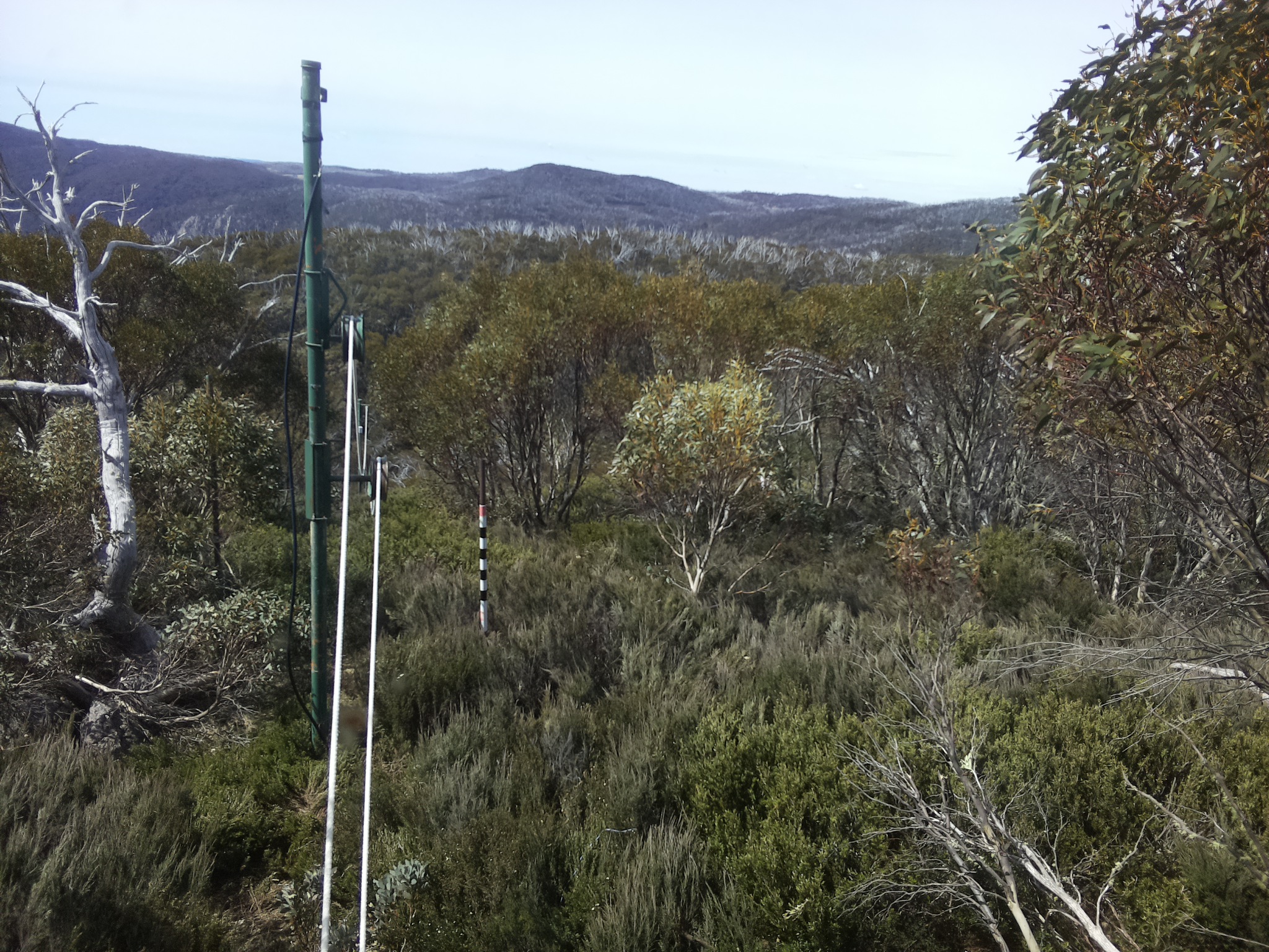 Bogong Web Cam 11:00am Saturday 25th of October 2025