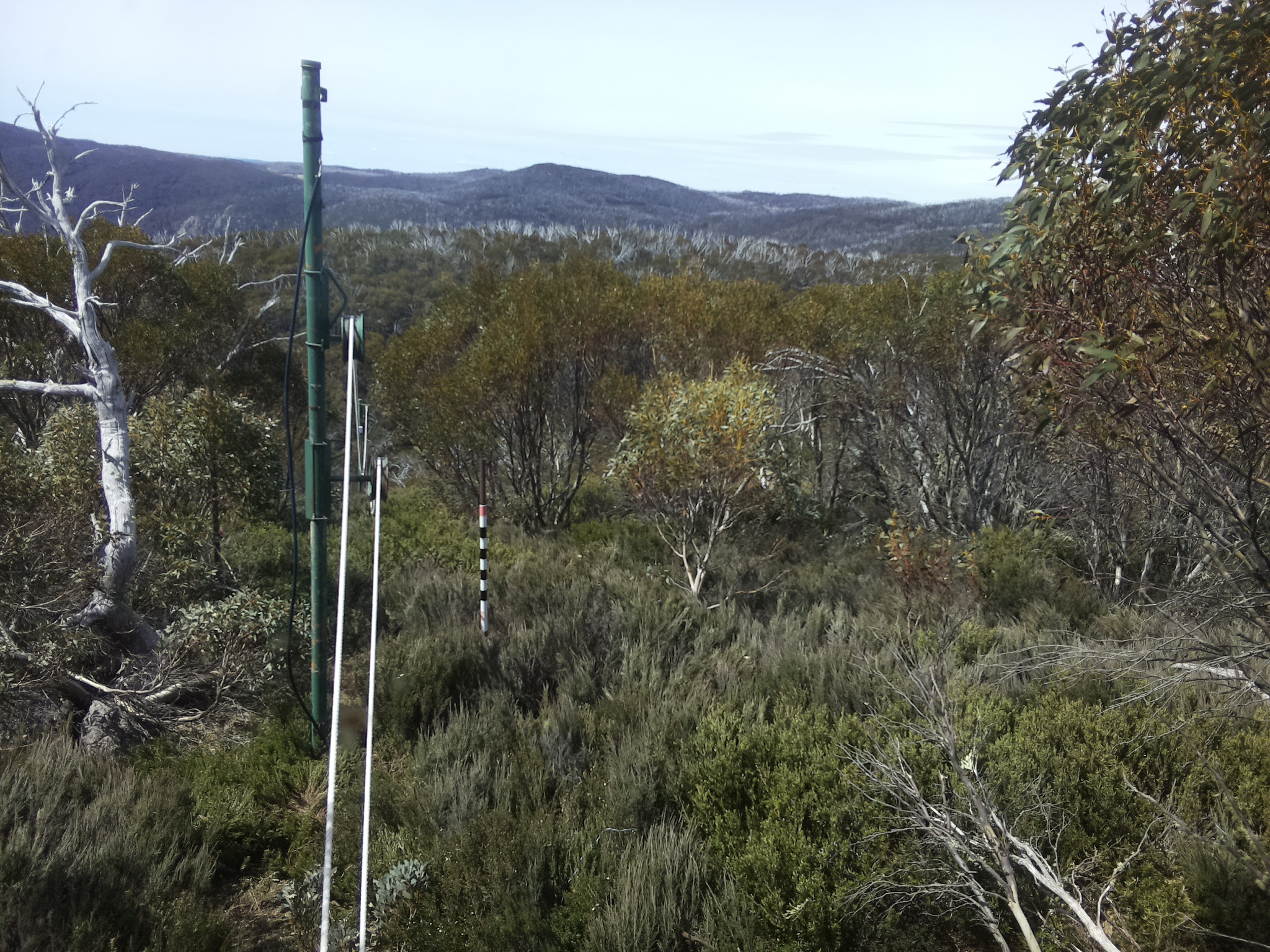 Bogong Web Cam 11:20am Saturday 25th of October 2025