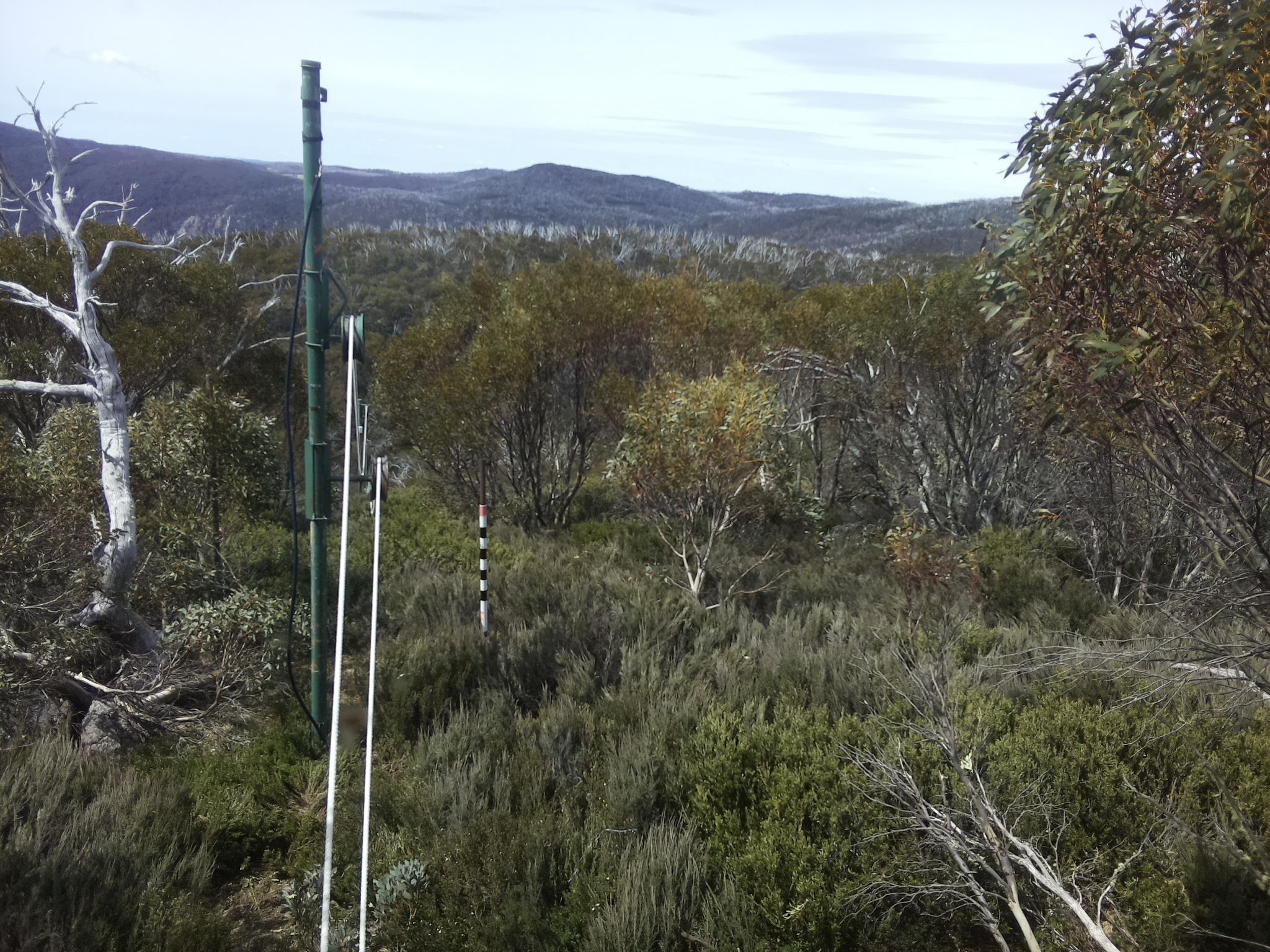 Bogong Web Cam 11:30am Saturday 25th of October 2025