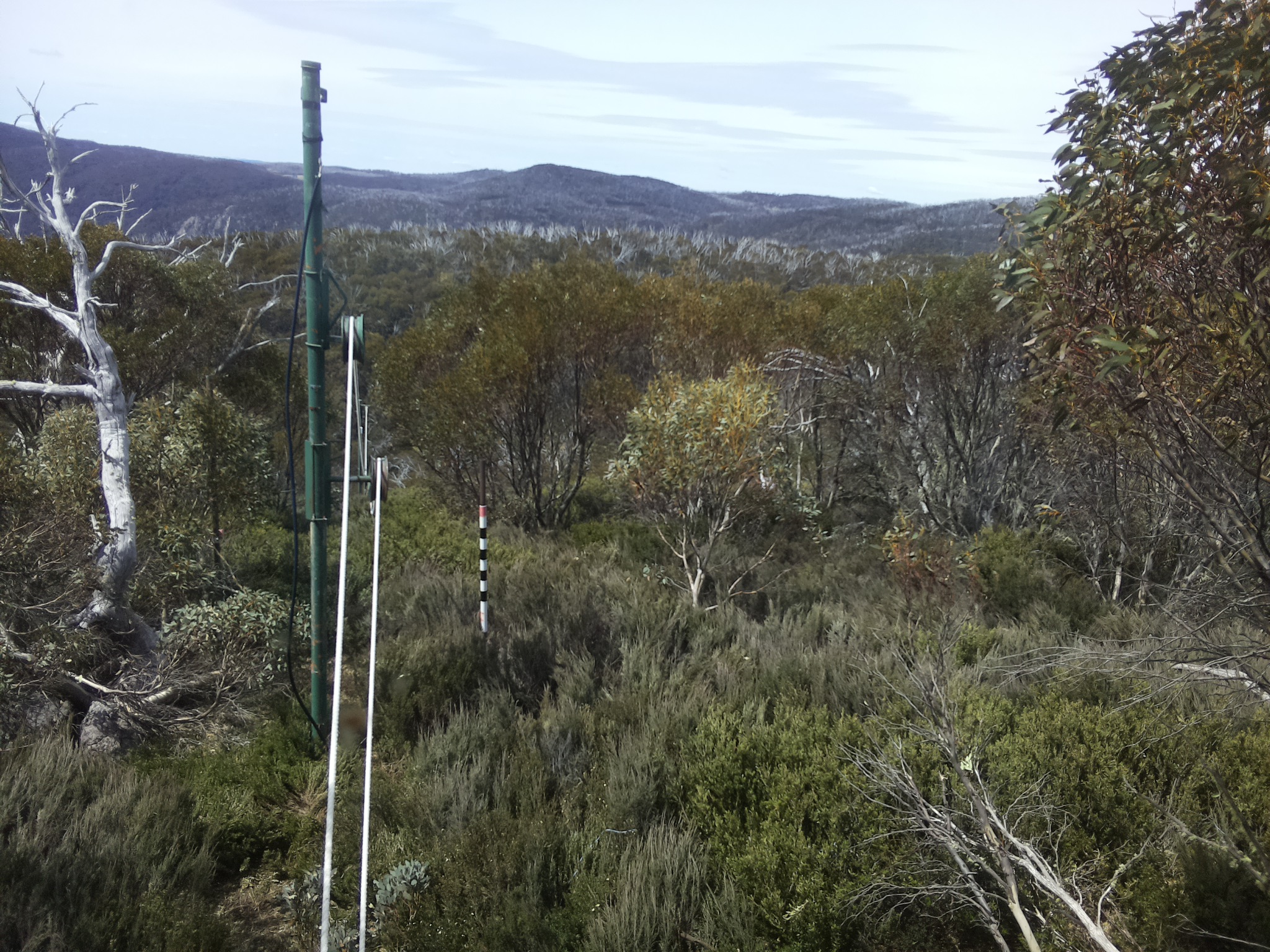 Bogong Web Cam 11:40am Saturday 25th of October 2025