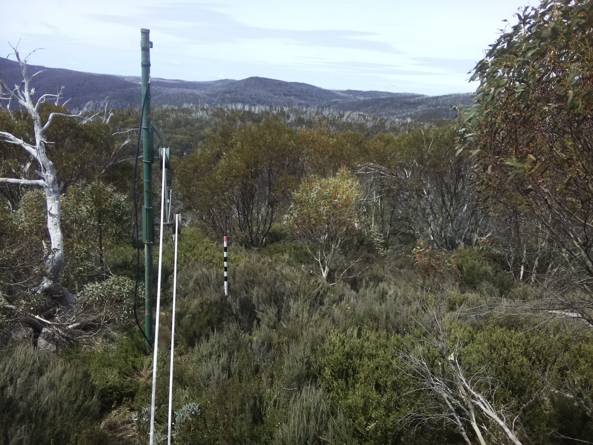 Bogong Web Cam 11:50am Saturday 25th of October 2025