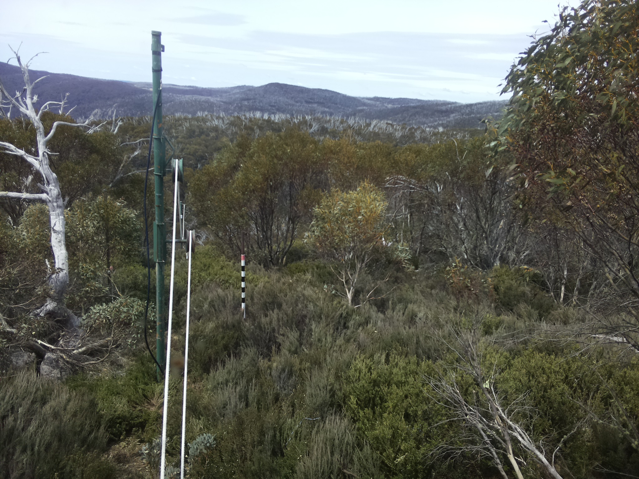 Bogong Web Cam 12:00pm Saturday 25th of October 2025