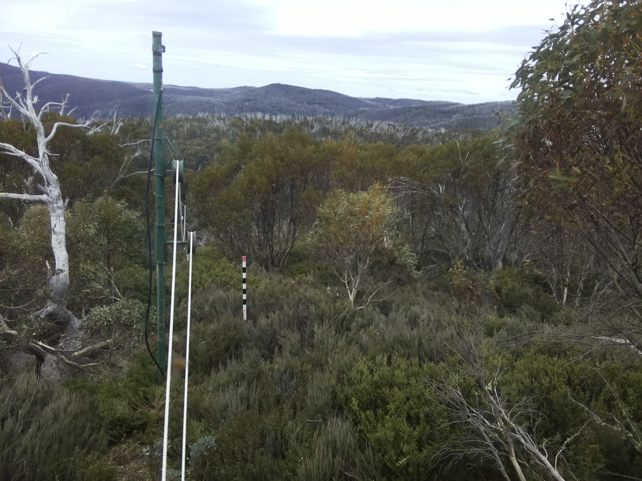 Bogong Web Cam 12:20pm Saturday 25th of October 2025