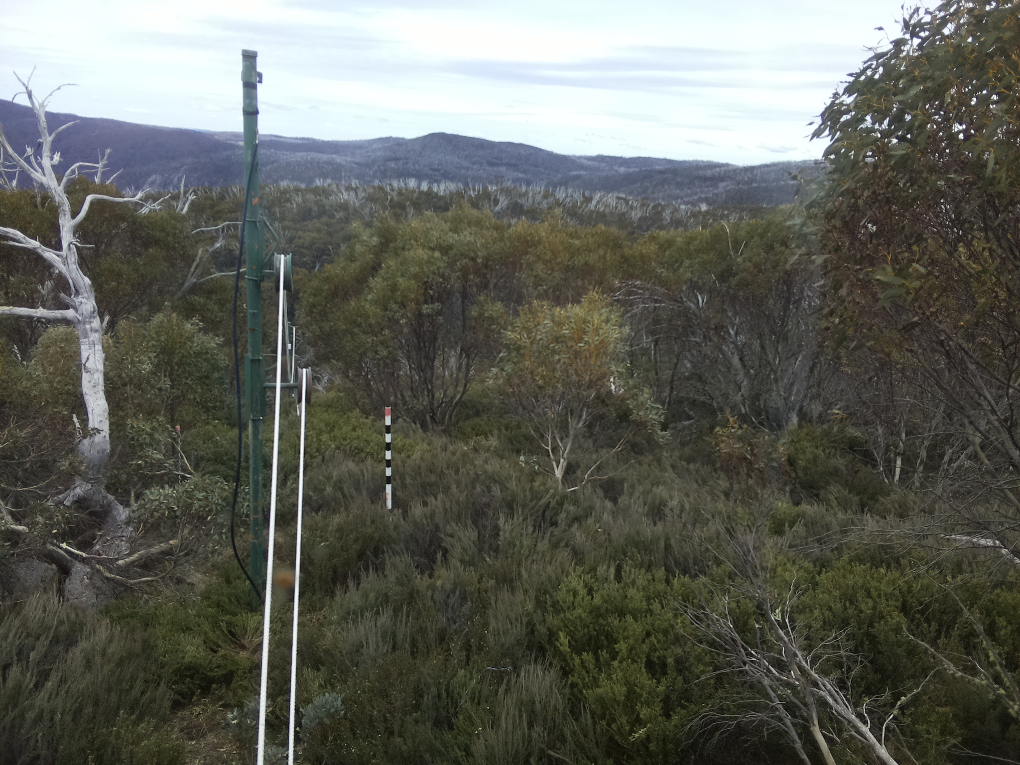 Bogong Web Cam 12:30pm Saturday 25th of October 2025