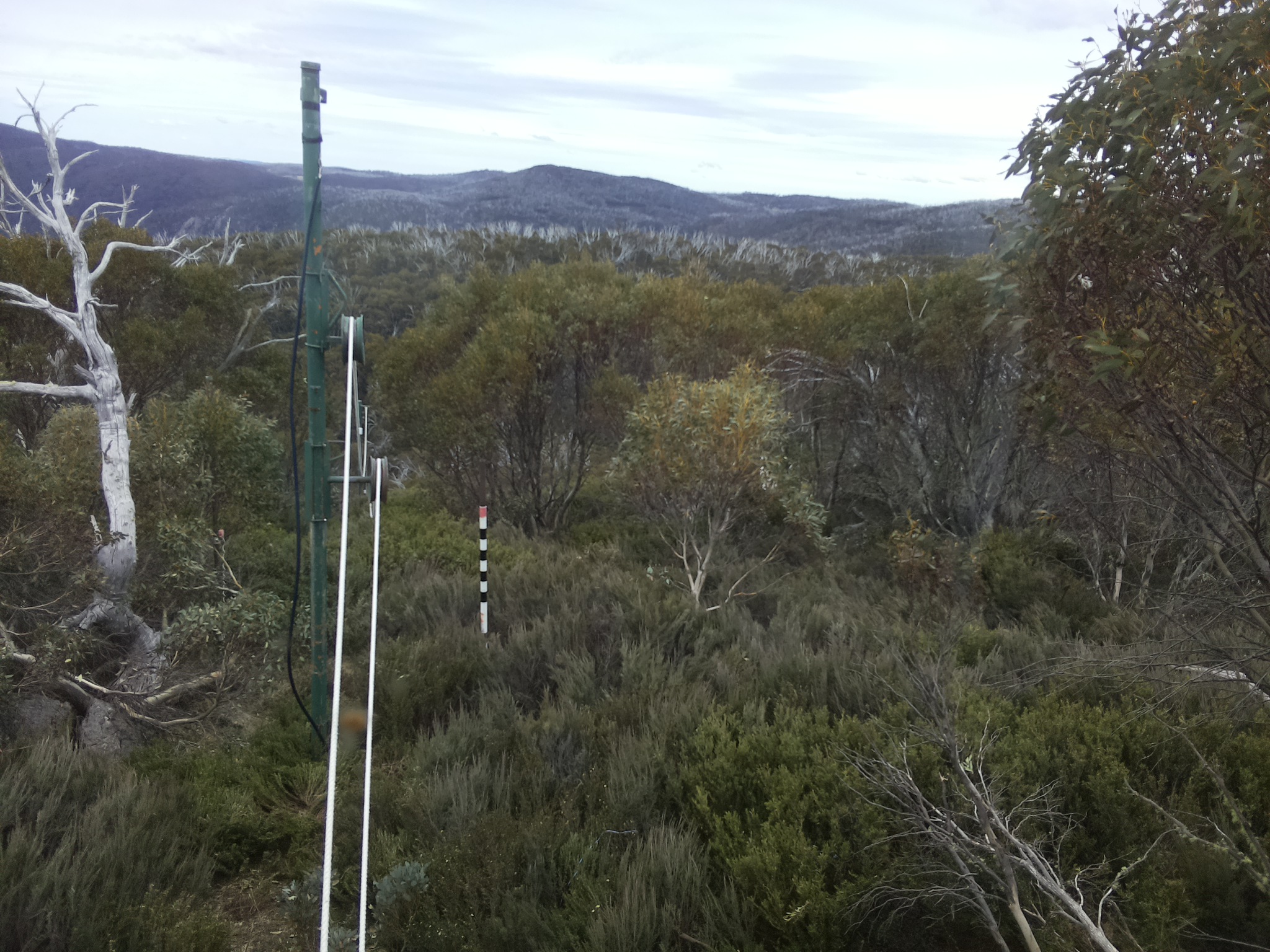 Bogong Web Cam 12:40pm Saturday 25th of October 2025