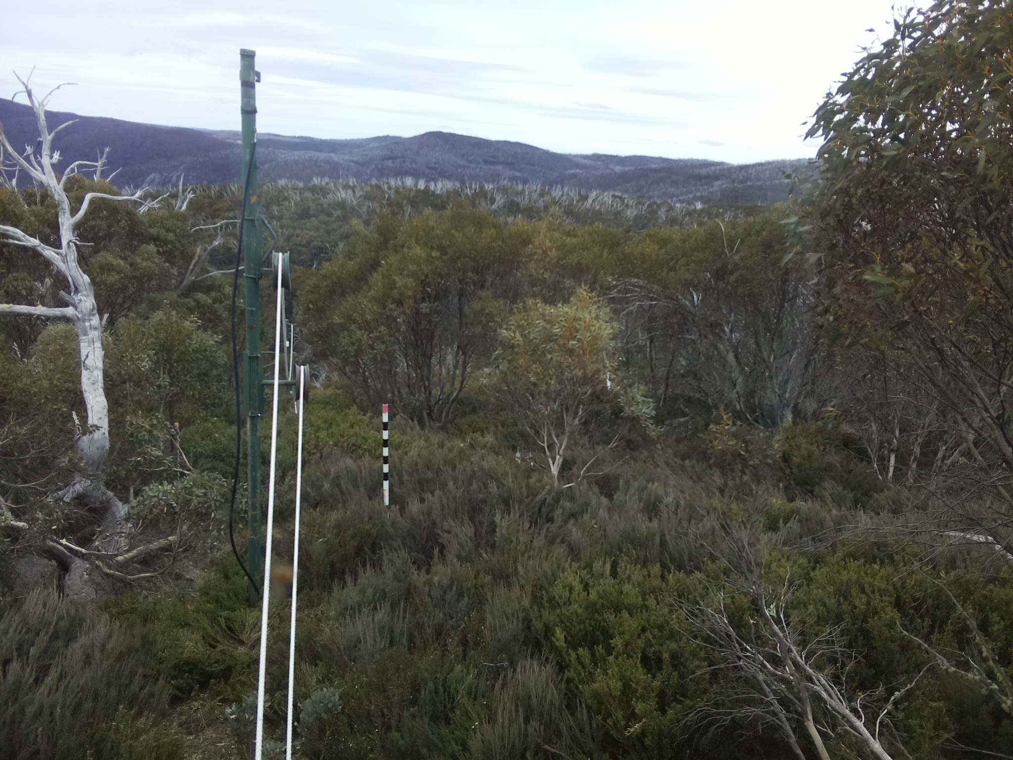 Bogong Web Cam 12:50pm Saturday 25th of October 2025