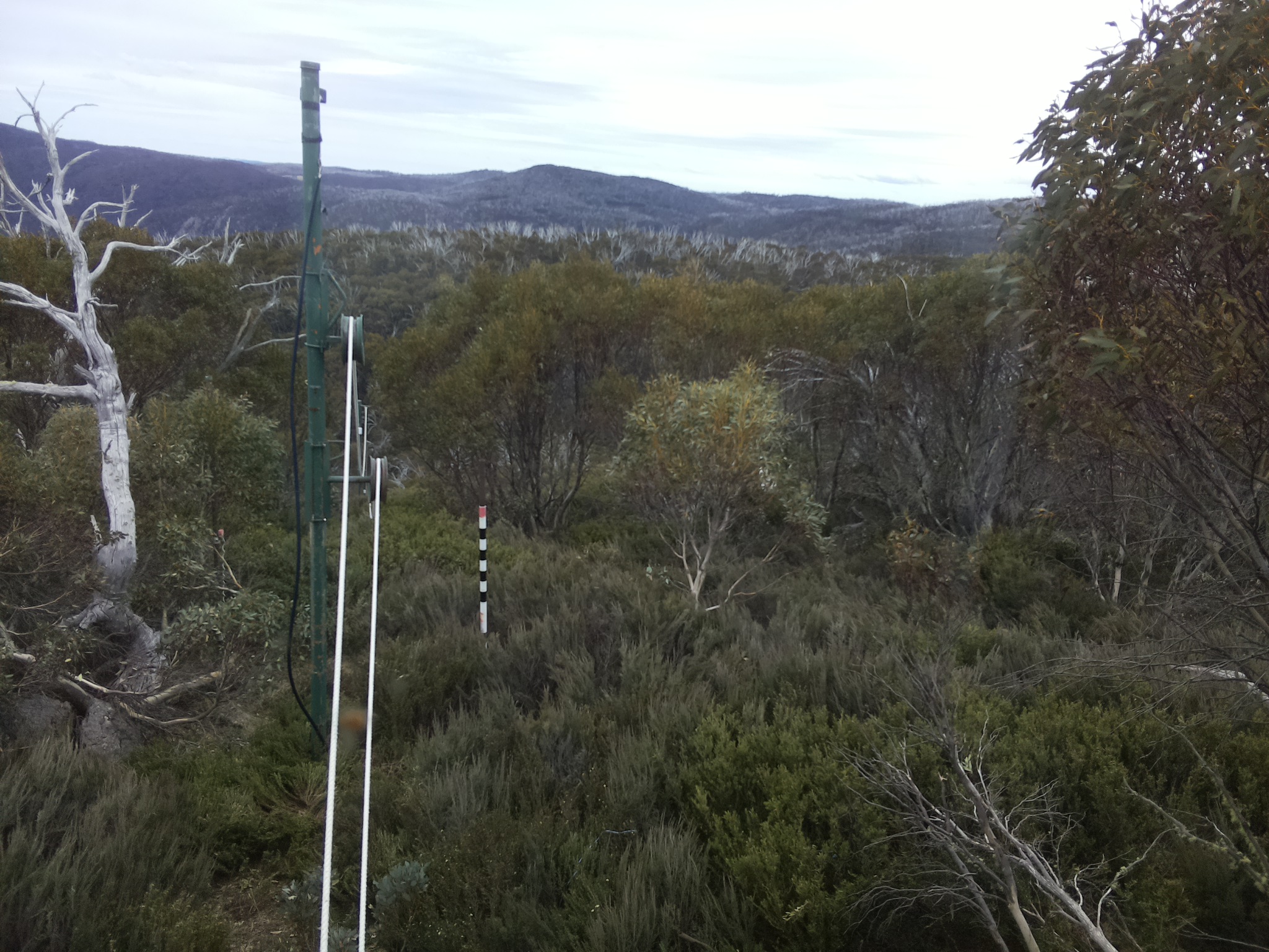 Bogong Web Cam 1:00pm Saturday 25th of October 2025