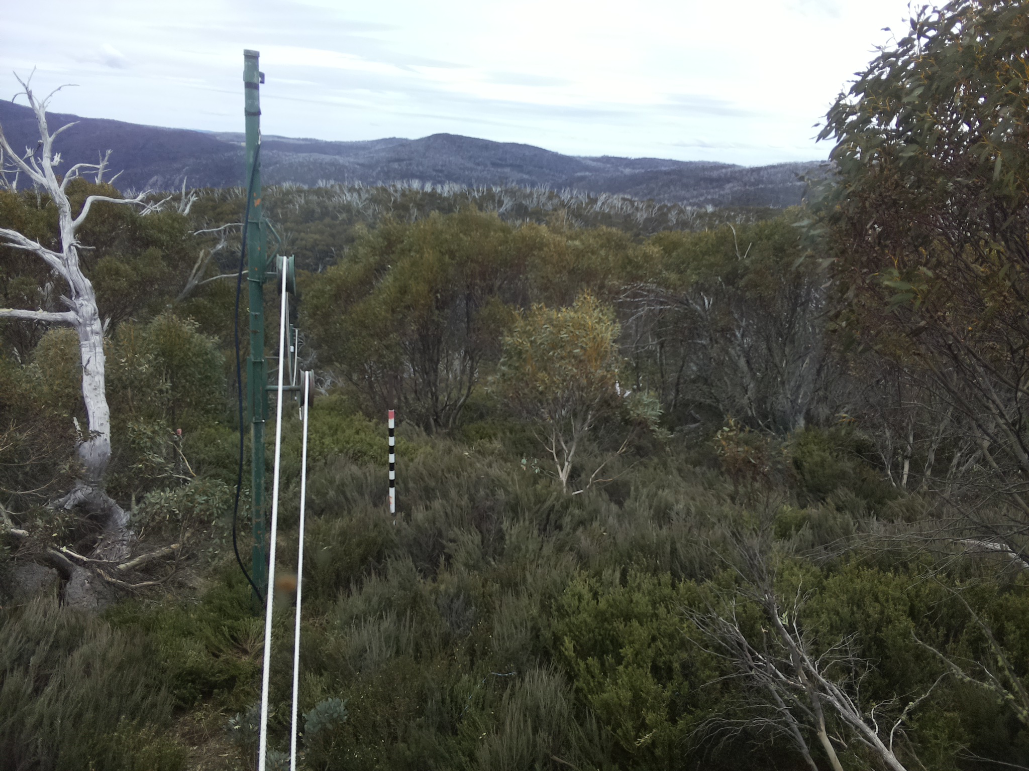 Bogong Web Cam 1:10pm Saturday 25th of October 2025