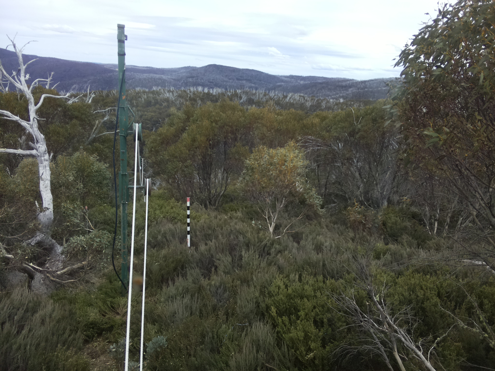 Bogong Web Cam 1:20pm Saturday 25th of October 2025