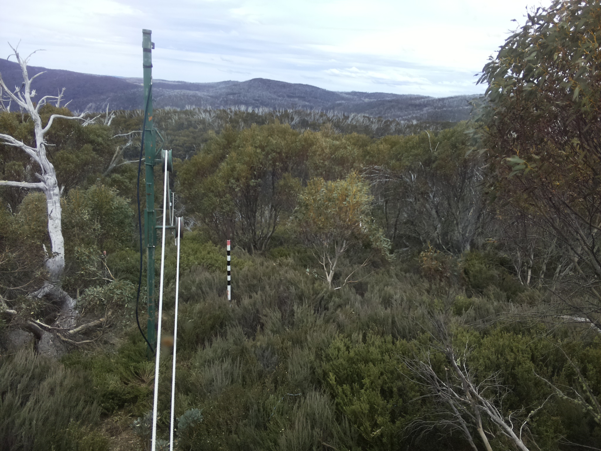 Bogong Web Cam 1:30pm Saturday 25th of October 2025