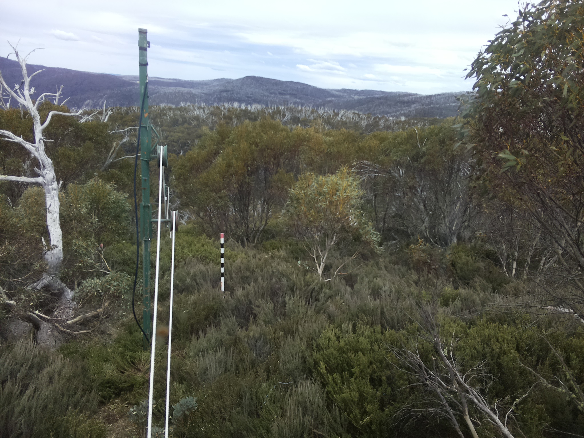 Bogong Web Cam 1:40pm Saturday 25th of October 2025
