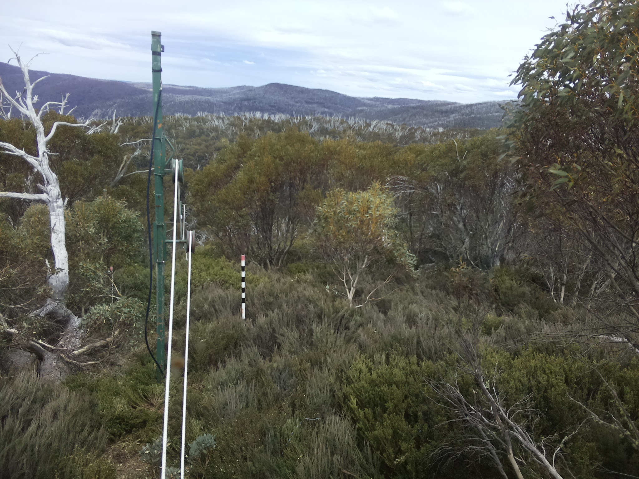 Bogong Web Cam 1:50pm Saturday 25th of October 2025