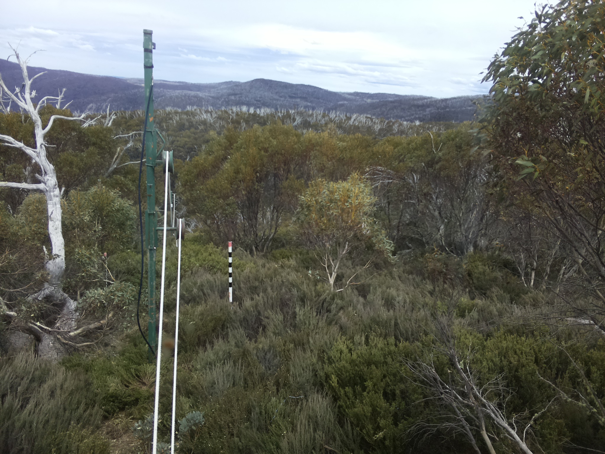 Bogong Web Cam 2:00pm Saturday 25th of October 2025