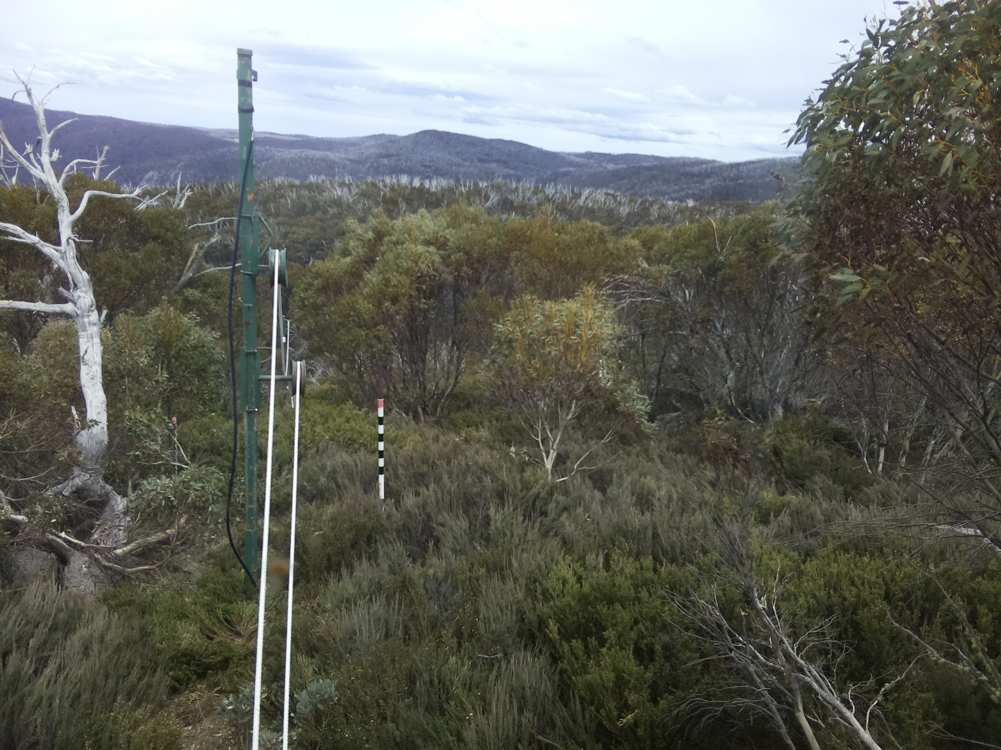 Bogong Web Cam 2:10pm Saturday 25th of October 2025