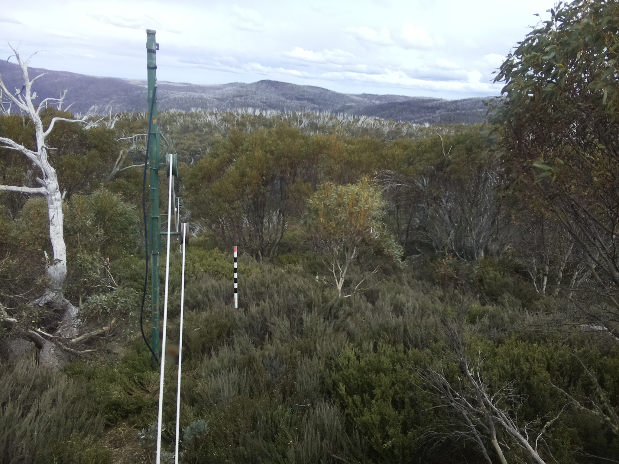 Bogong Web Cam 3:00pm Saturday 25th of October 2025