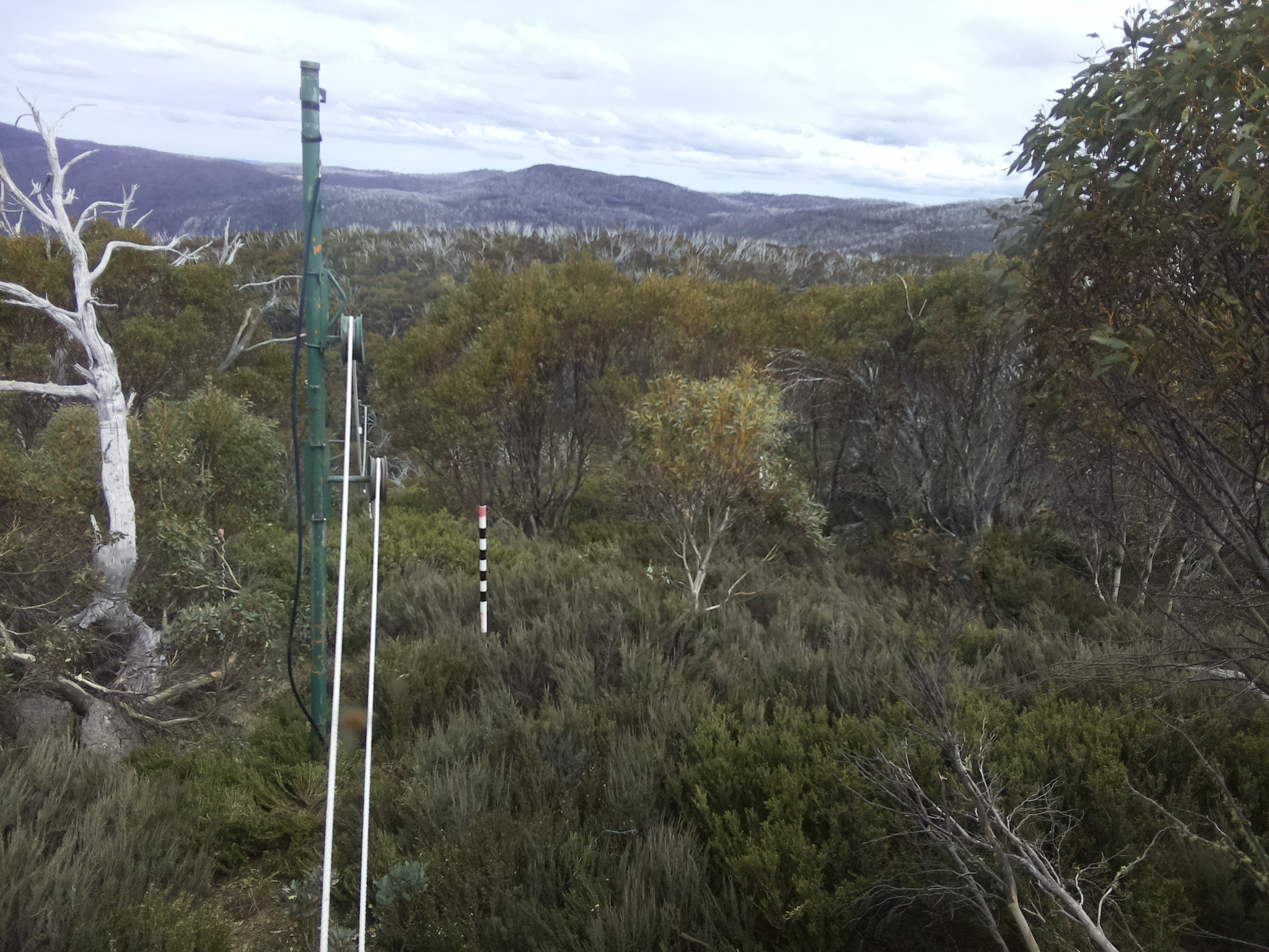 Bogong Web Cam 3:10pm Saturday 25th of October 2025