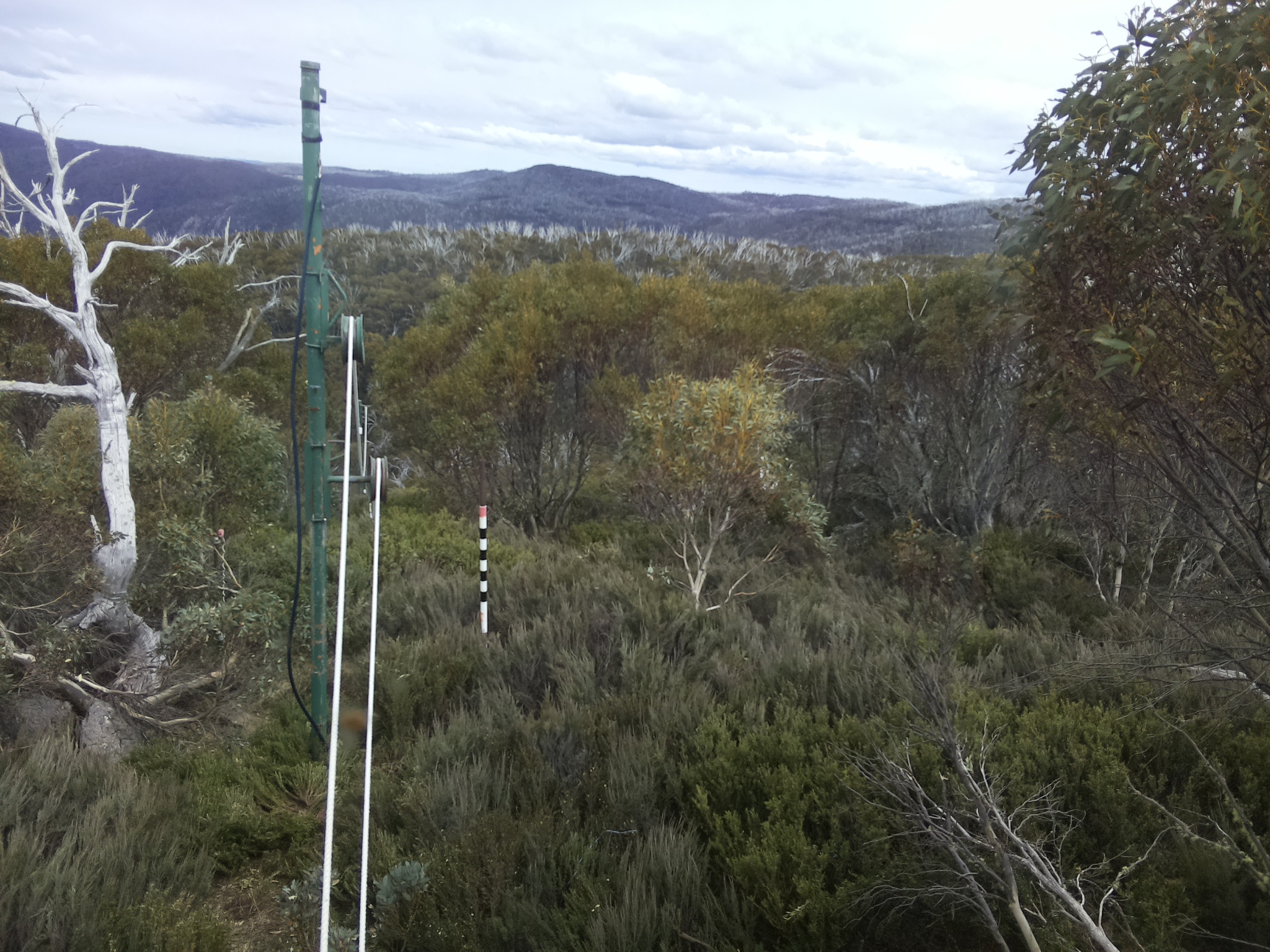 Bogong Web Cam 3:20pm Saturday 25th of October 2025