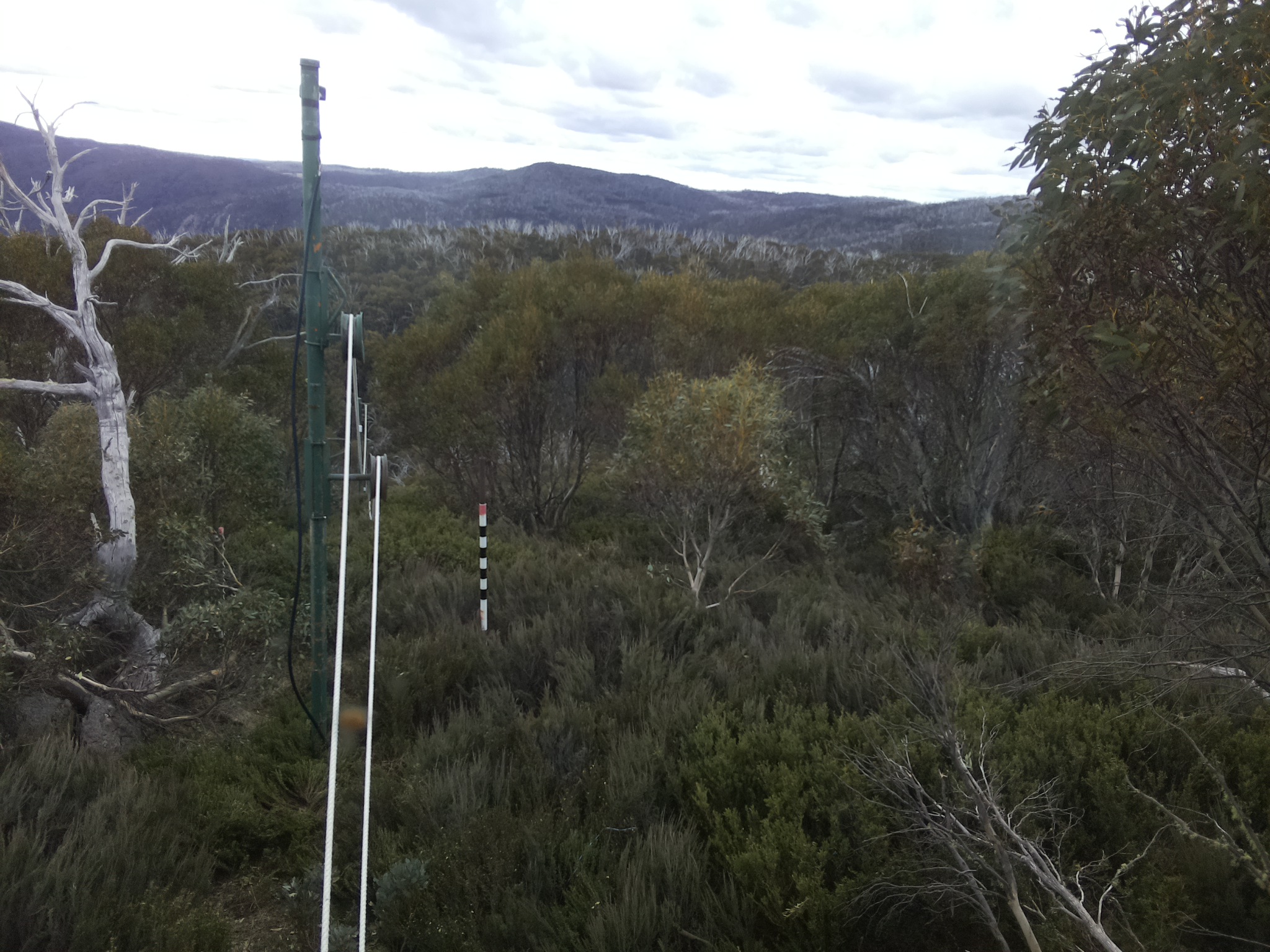 Bogong Web Cam 3:40pm Saturday 25th of October 2025