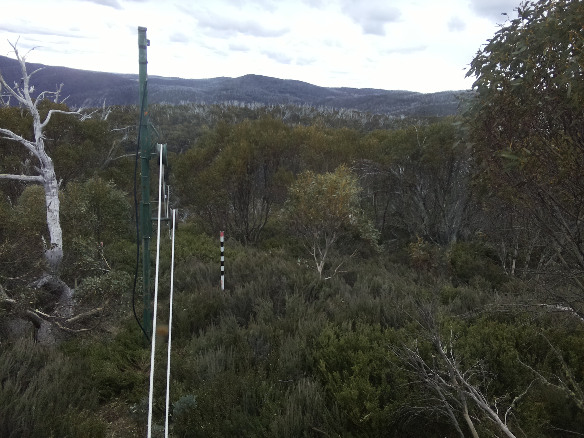 Bogong Web Cam 3:50pm Saturday 25th of October 2025