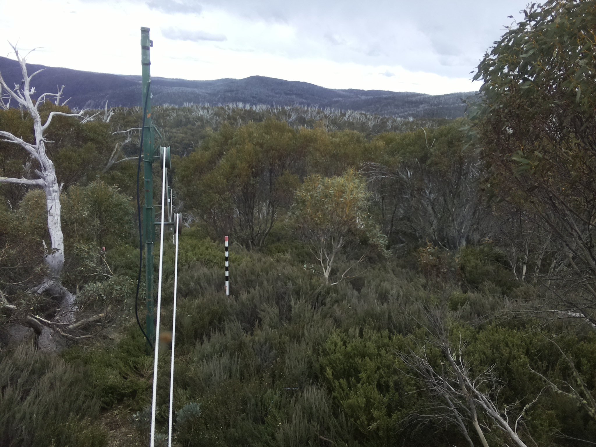 Bogong Web Cam 4:00pm Saturday 25th of October 2025