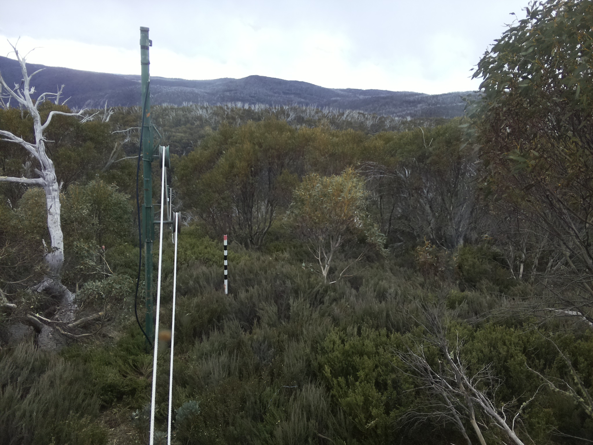 Bogong Web Cam 4:10pm Saturday 25th of October 2025