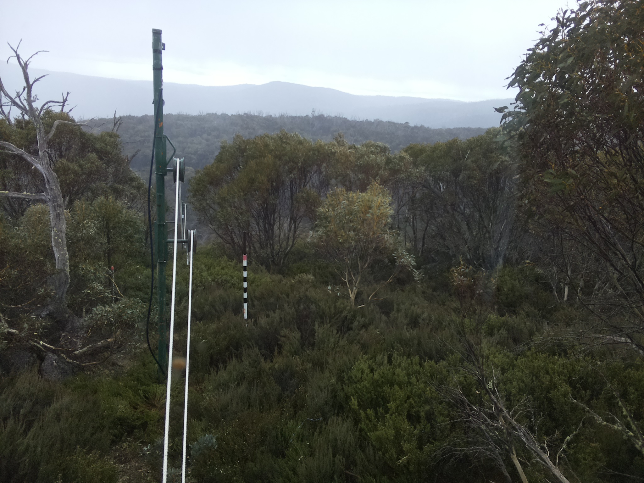 Bogong Web Cam 4:30pm Saturday 25th of October 2025