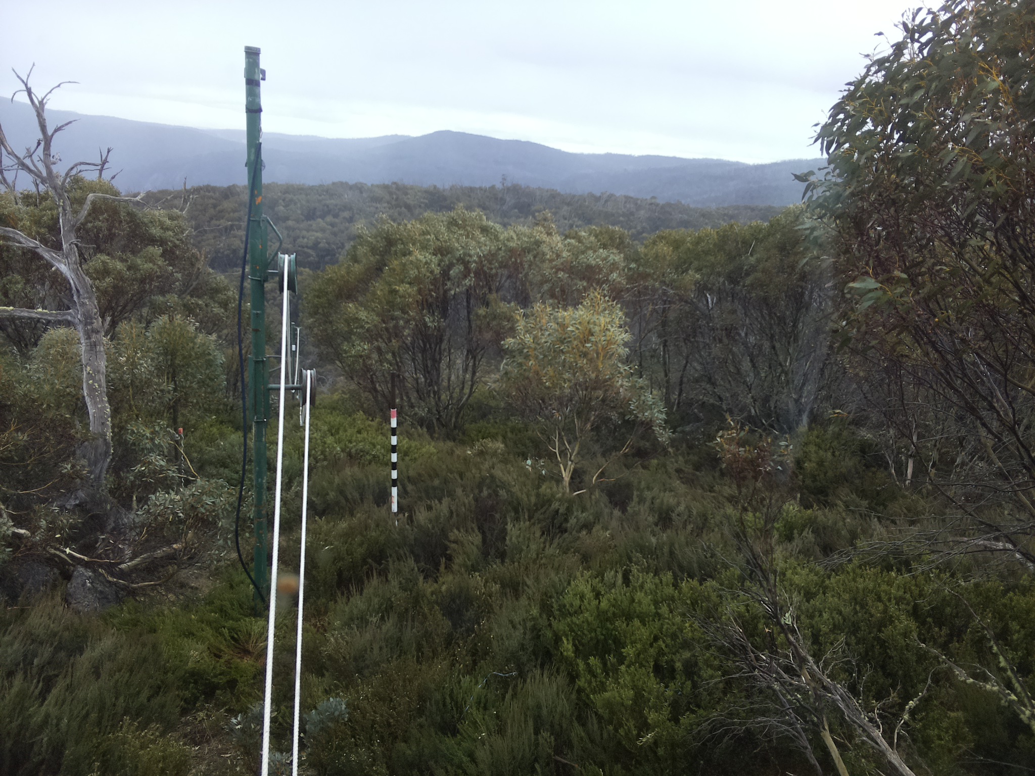 Bogong Web Cam 4:40pm Saturday 25th of October 2025