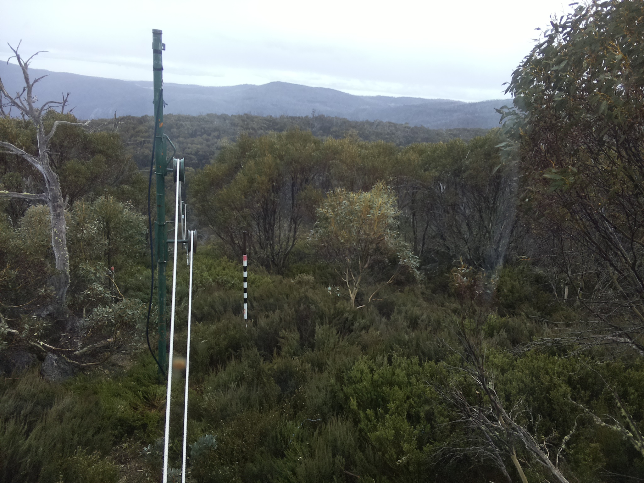 Bogong Web Cam 4:50pm Saturday 25th of October 2025