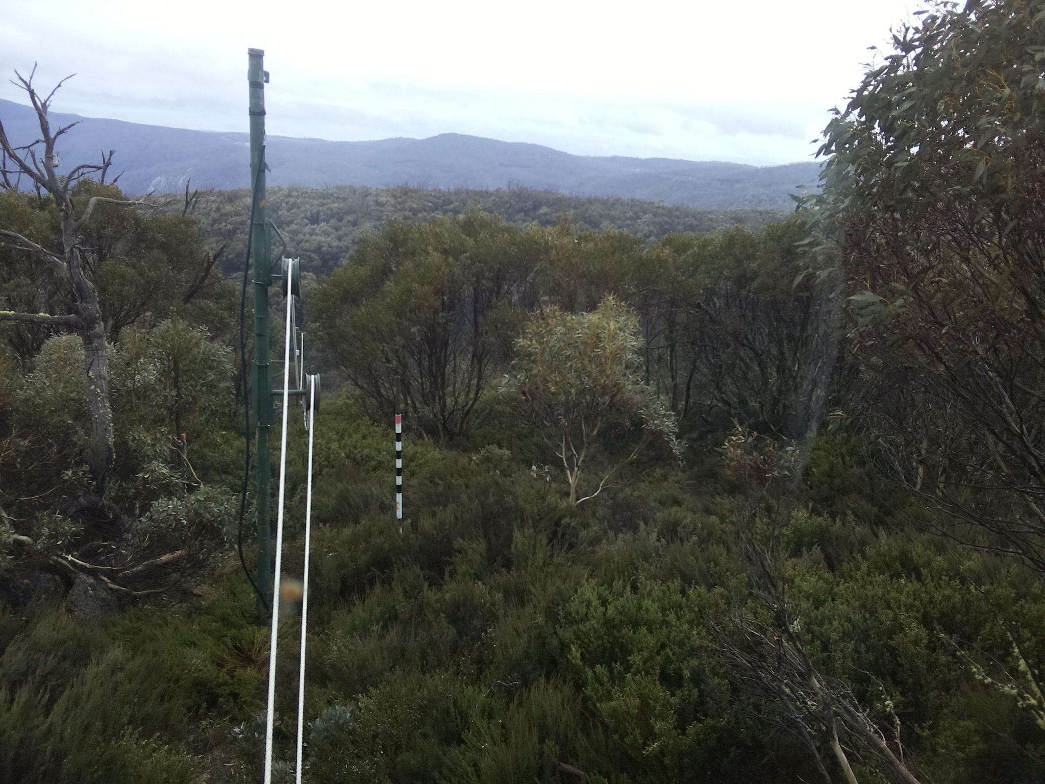 Bogong Web Cam 9:50am Sunday 26th of October 2025