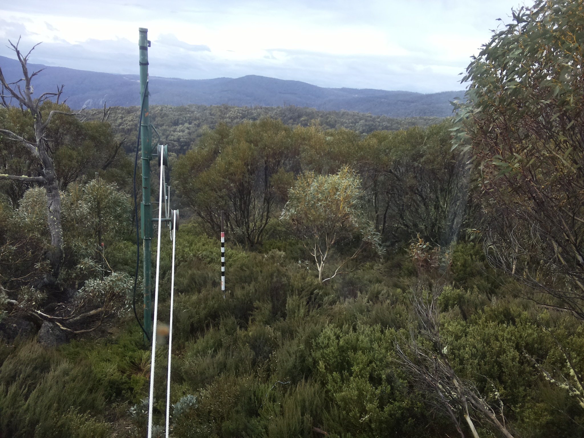 Bogong Web Cam 10:00am Sunday 26th of October 2025
